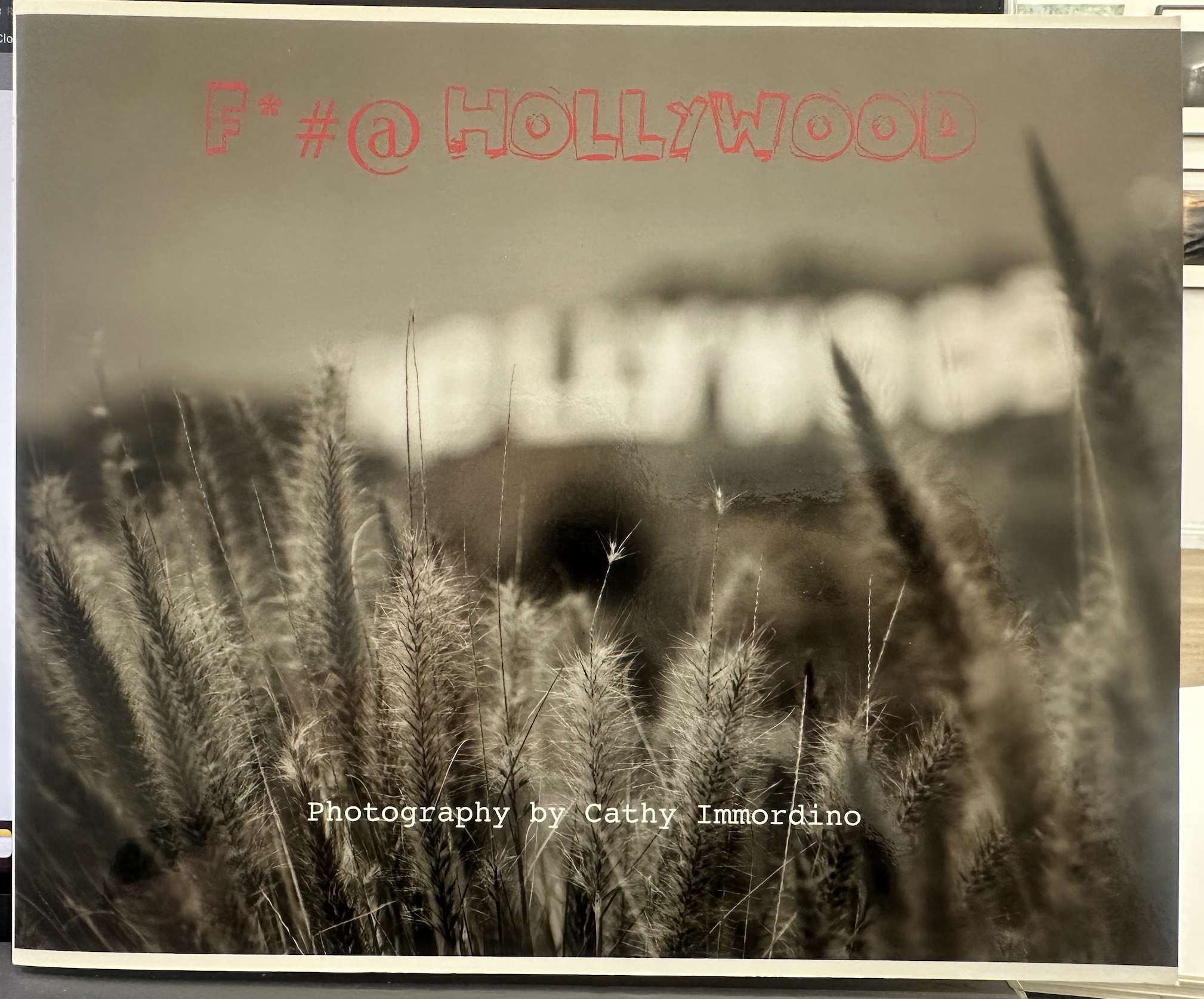 "F*#@ HOLLYWOOD" book – by Cathy Immordino