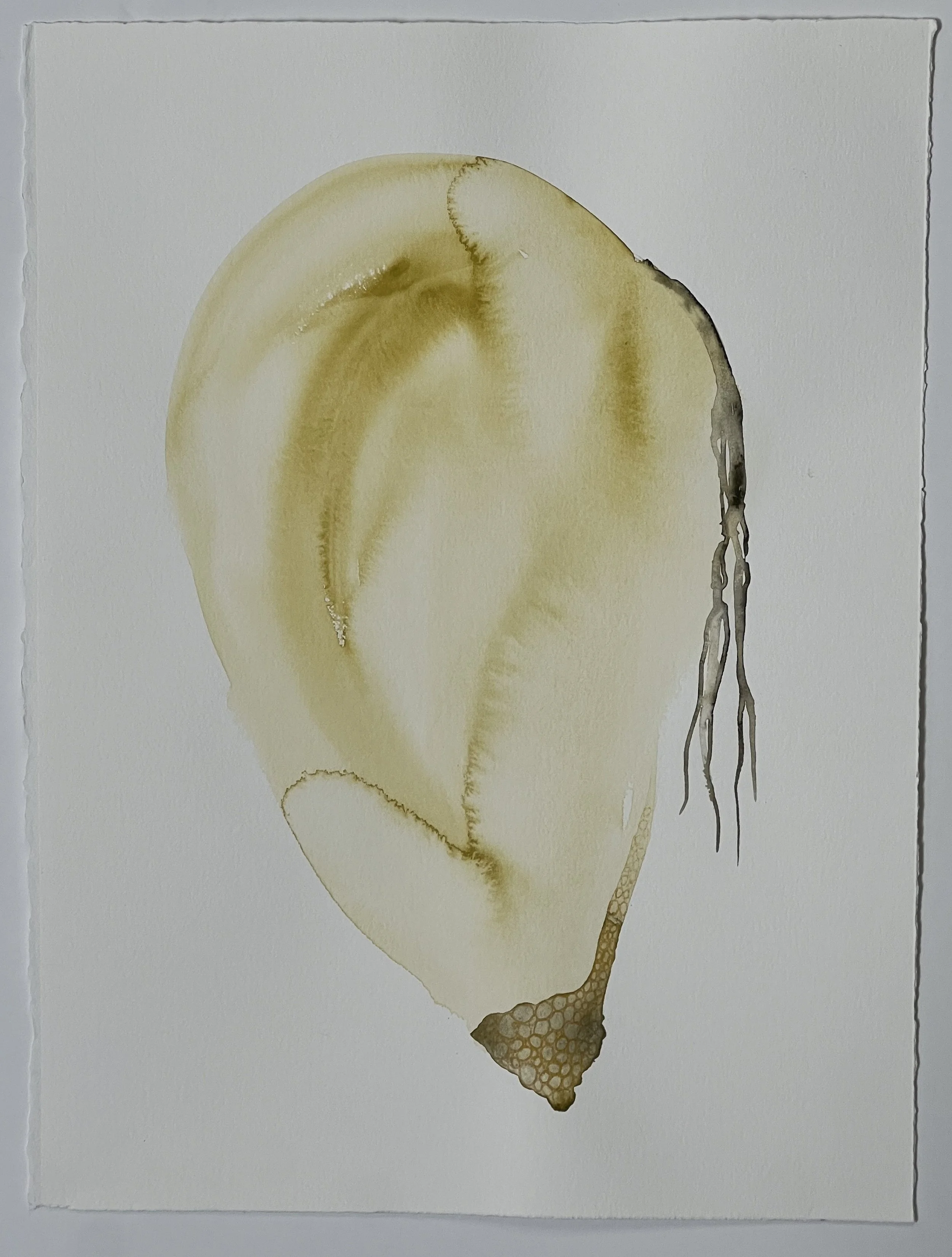 "Not Wanting to Stop Wanting" Kathryn Tubbs