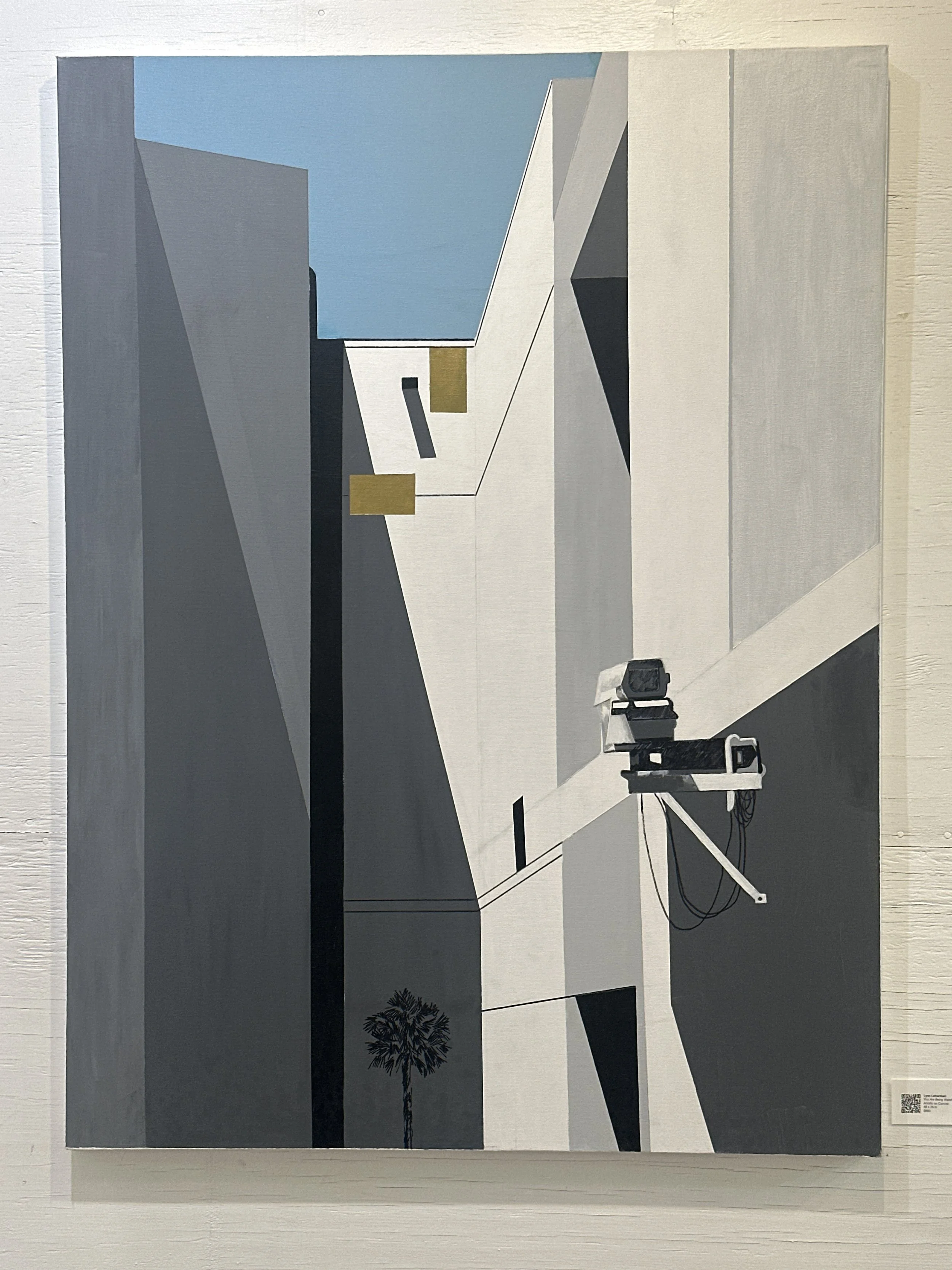 "You Are Being Watched" by Lynn Letterman