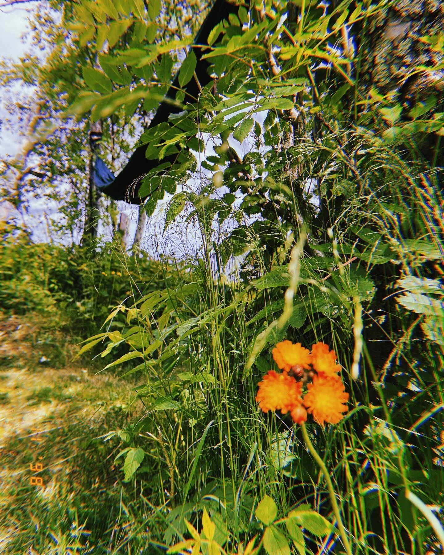 summer summary :: july 2023.

&bull; more of the same camping, hiking, biking as in june.
&bull; got caught in some sweet summer storms.
&bull; saw King Krule @firstavenue &amp; spent the most of the month with them on heavy rotation.