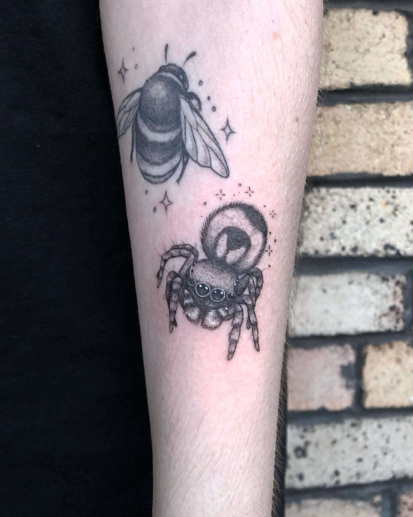 Little sparkle butt peacock spider next to a bee by urs truly 🕷 ✨