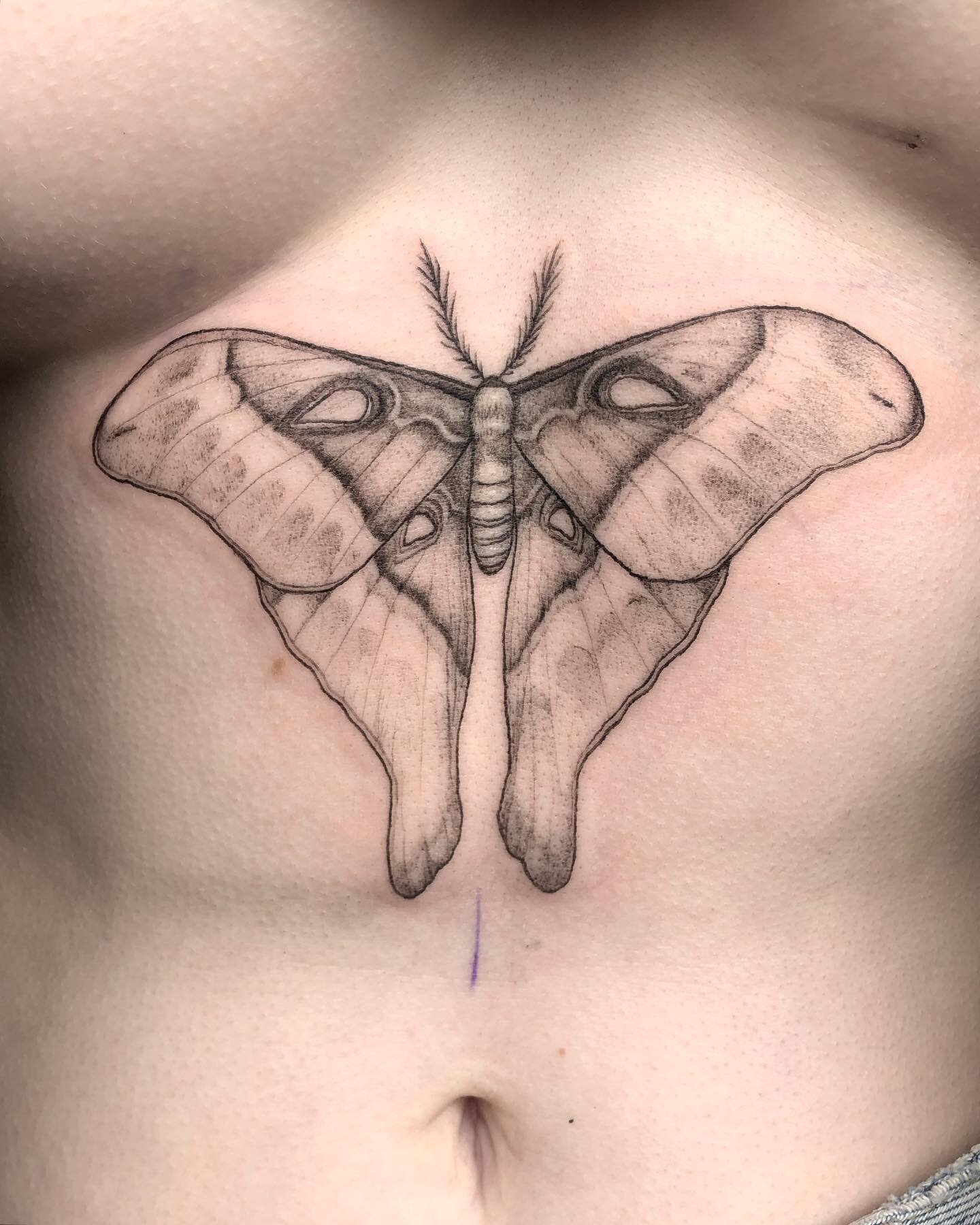 A cute Hercules moth 🦋 you sat so well for this one Rach!