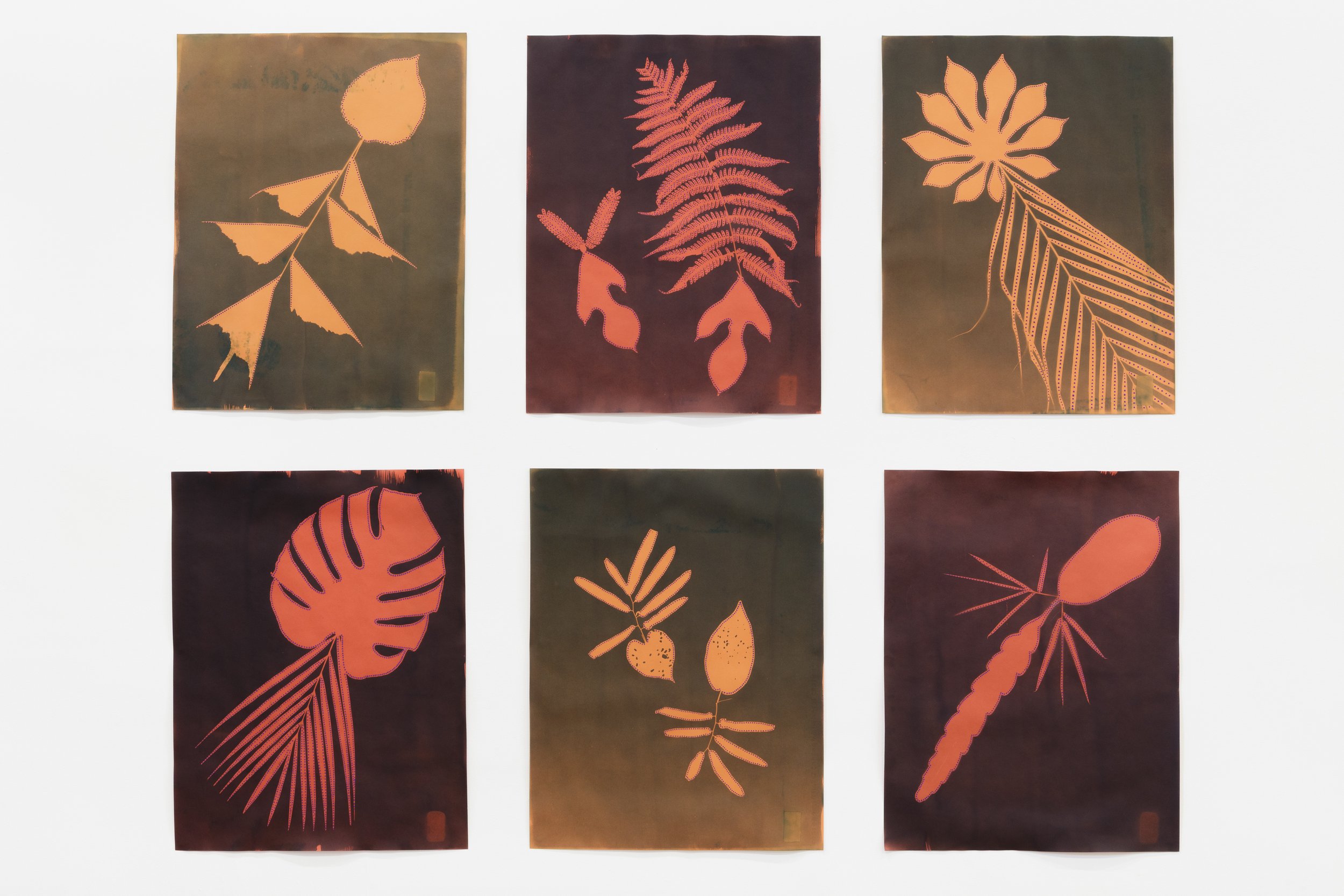 David Elia “Sporangia Hybrida”, 2026 , Cyanotype and IKB on coloured paper. Dimentions: 50 x 65 cm. Photo: Gabi Carrera