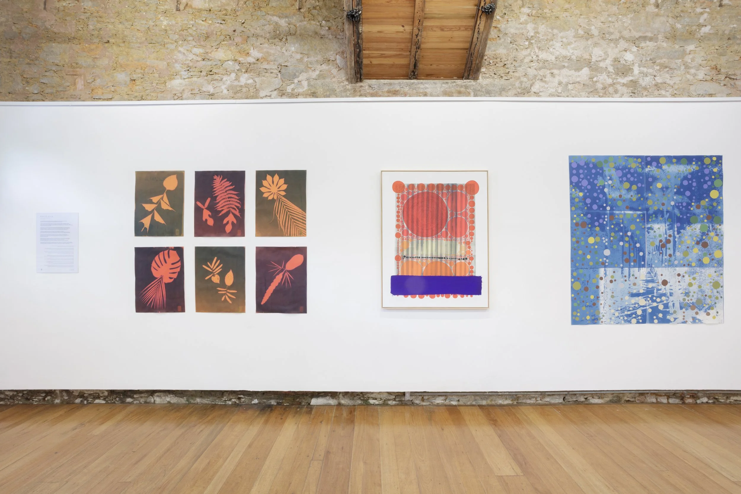 David Elia. SOLO Program Exhibition at TAL Tech Art Lab. Exhibition view. Photo: Gabi Carrera