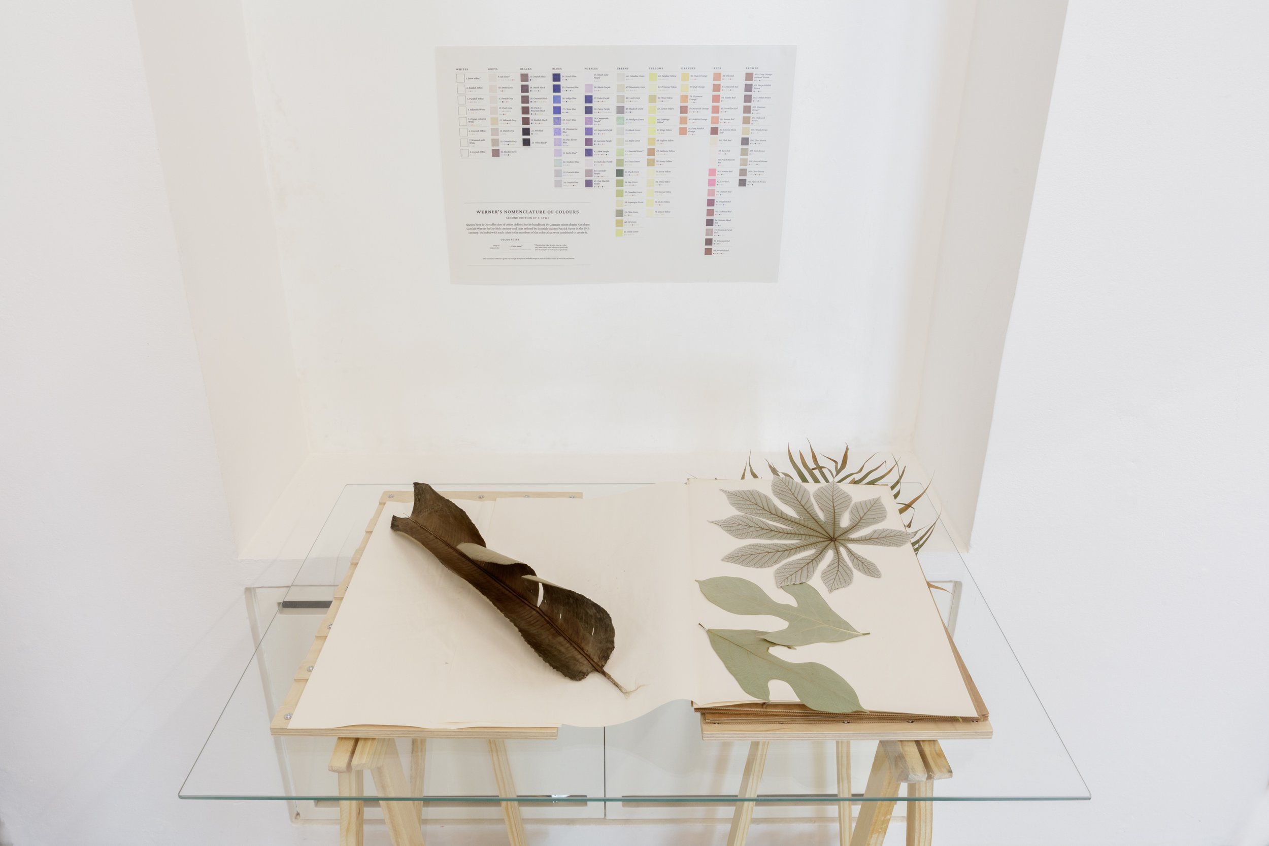 Werner's Nomenclature of Colour 1814. Used by Charles Darwin in his scientific observations. https://www.c82.net/werner/  Samples for artists works. Photo: Gabi Carrera 