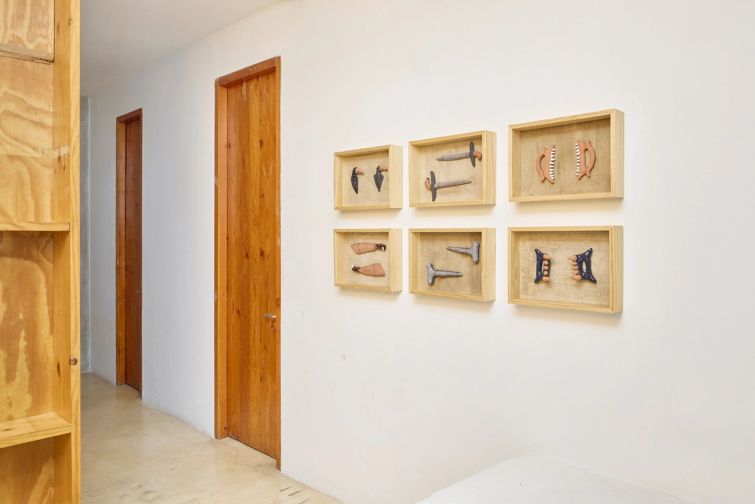 Aileen Gavonel "Armas Suaves" Series. Miembro Fantasma Exhibition in N.A.S.A.L. Gallery, Mexico  at Balneario, Lima