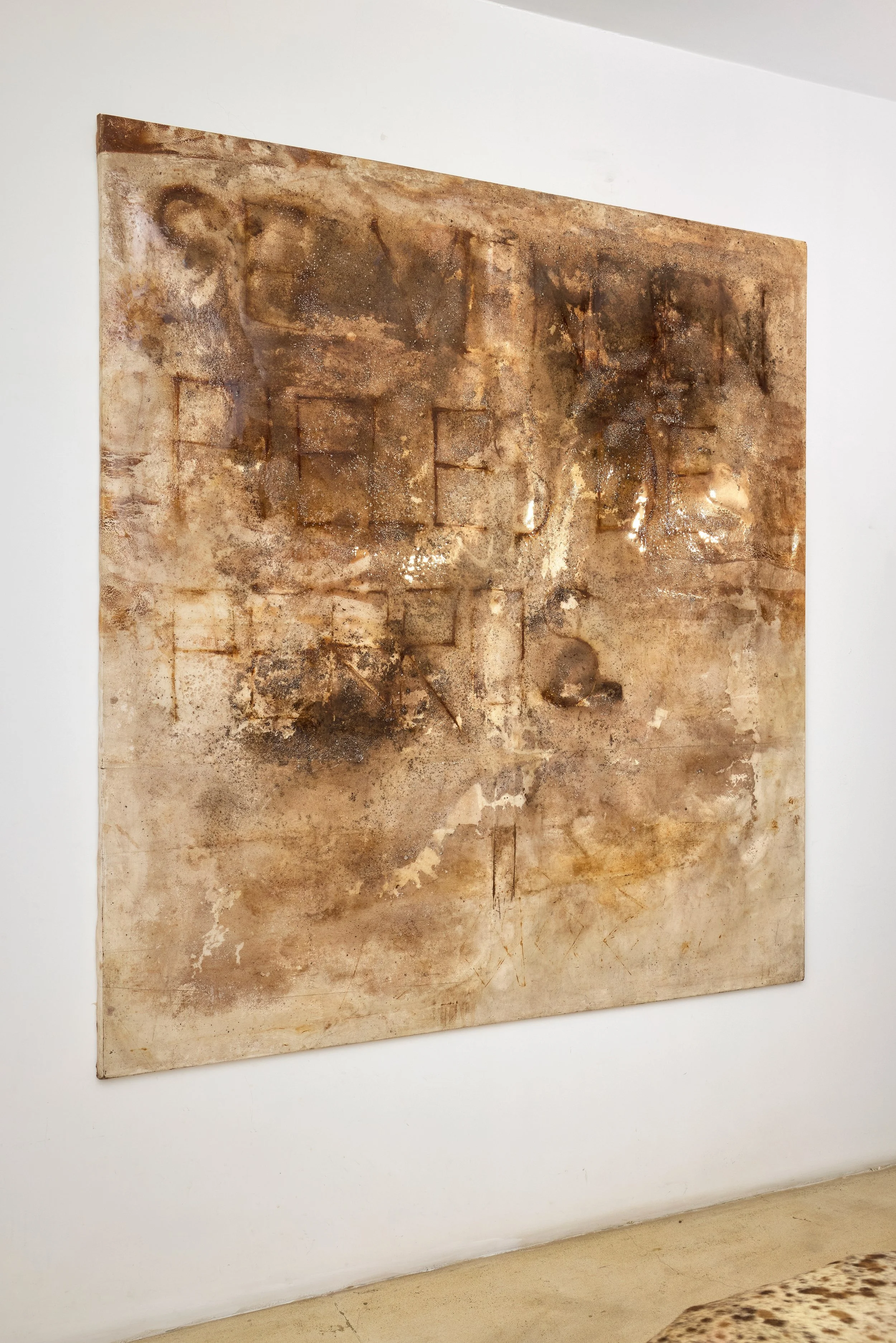  Miguel Andrade Valdez painting "Se venden pieles de perro". Miembro Fantasma Exhibition in N.A.S.A.L. Gallery, Mexico  at Balneario, Lima