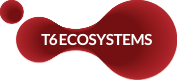 T6 Ecosystem.png