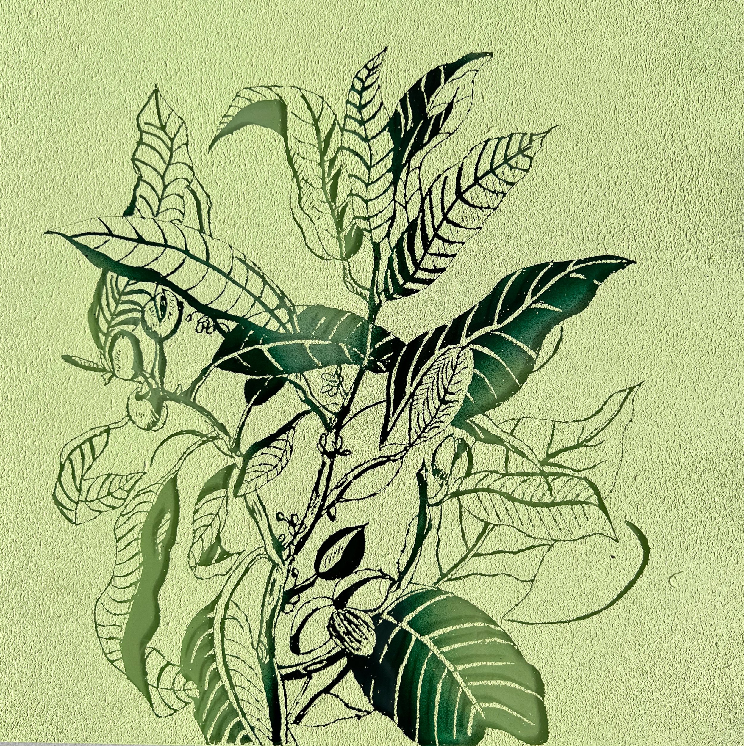 %22PISTACCHIO%22.jpg