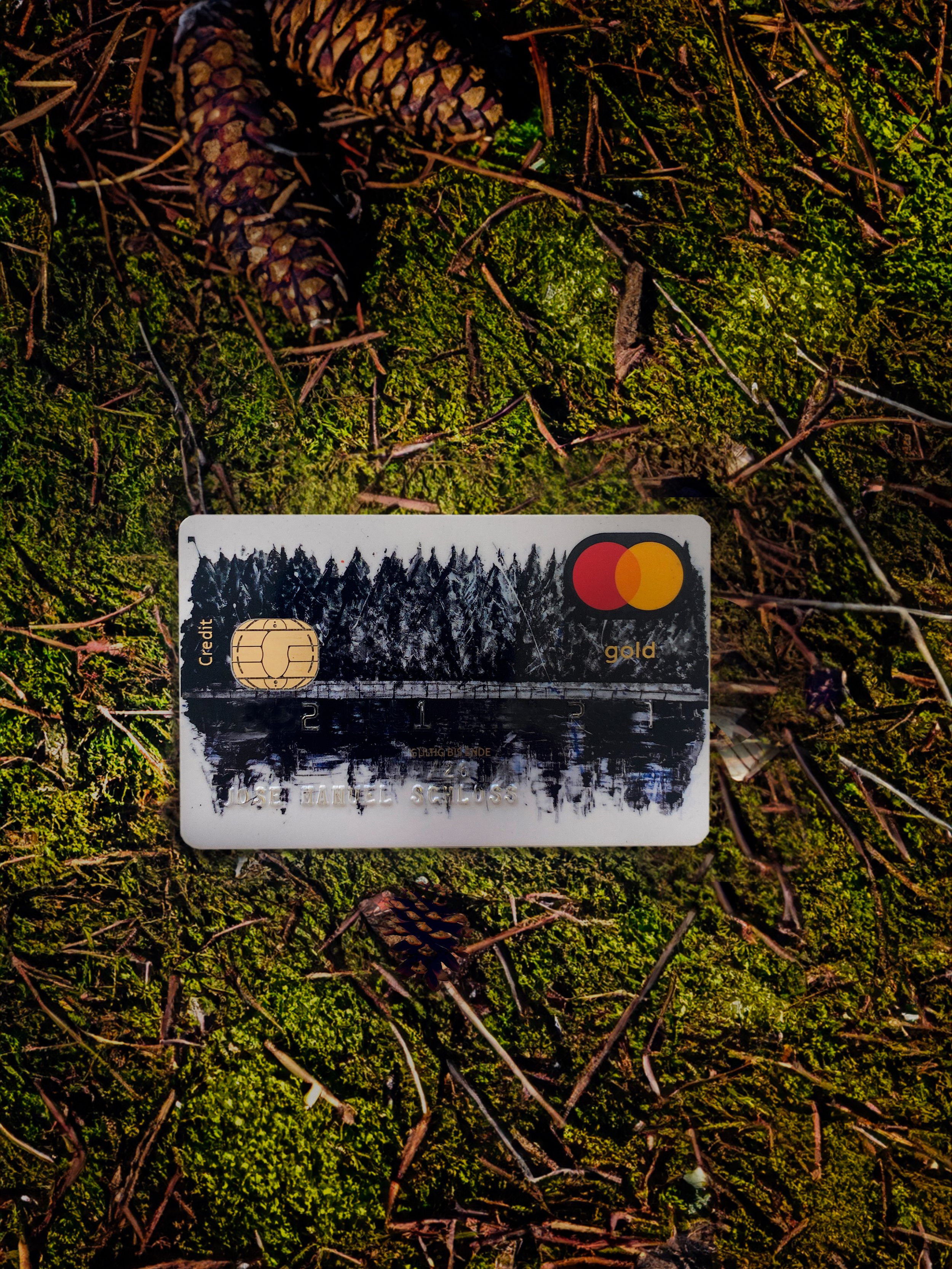 Sparkassen karte auf Waldboden.jpg