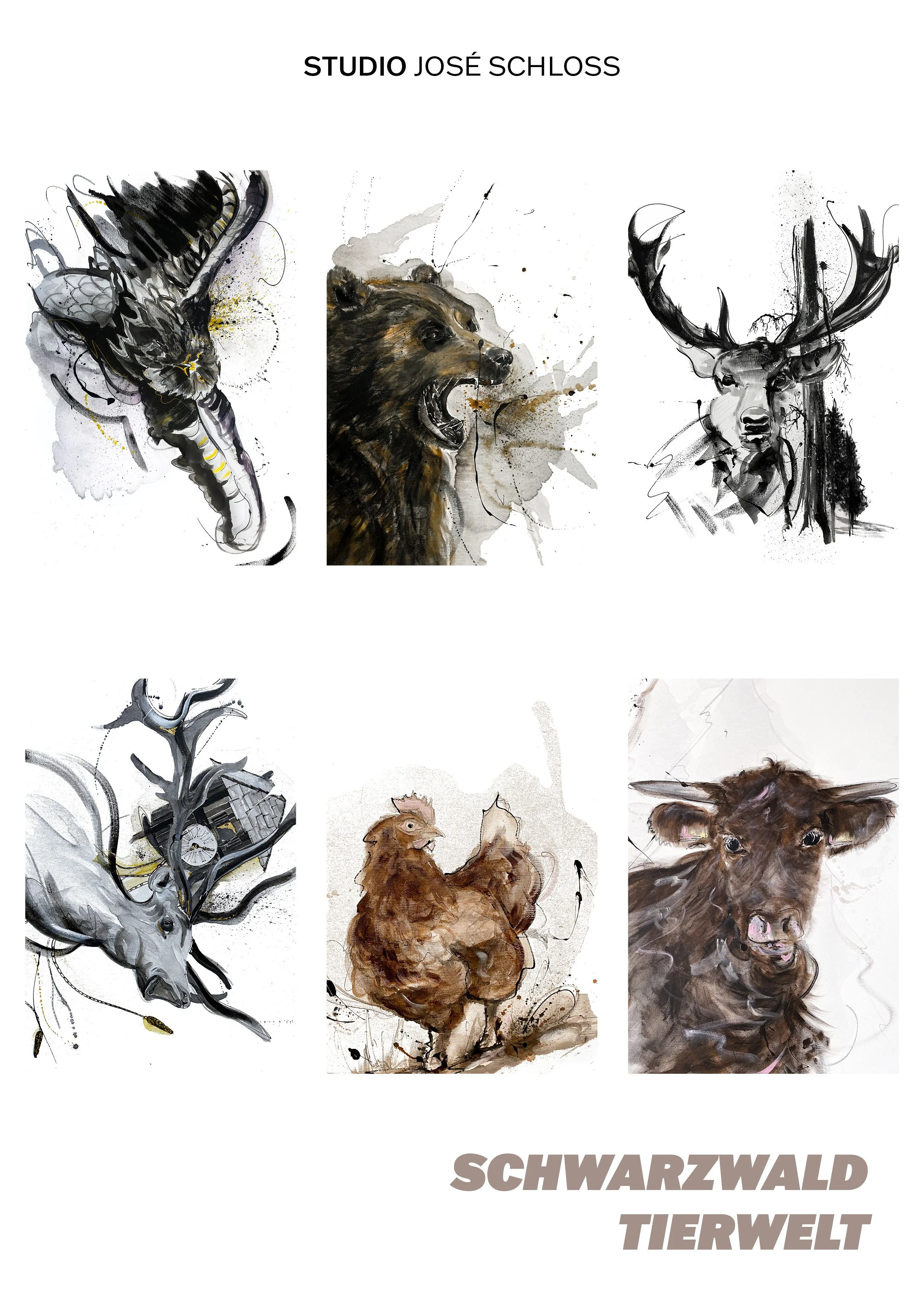 Schwarzwald Tierwelt Teil2