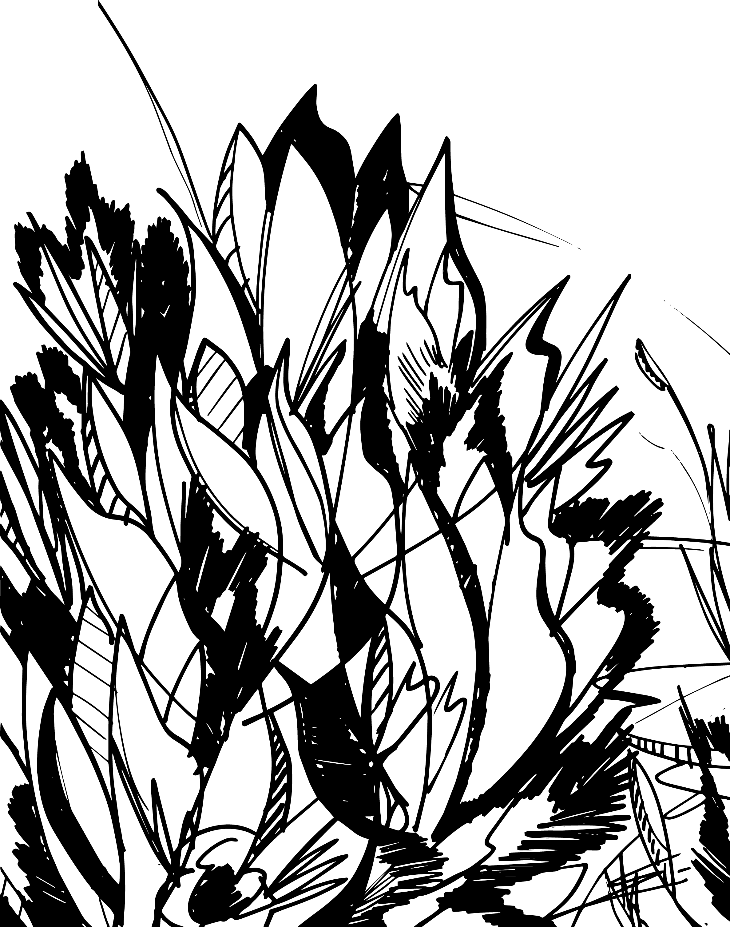 Skizze freigestellt Realschule.png