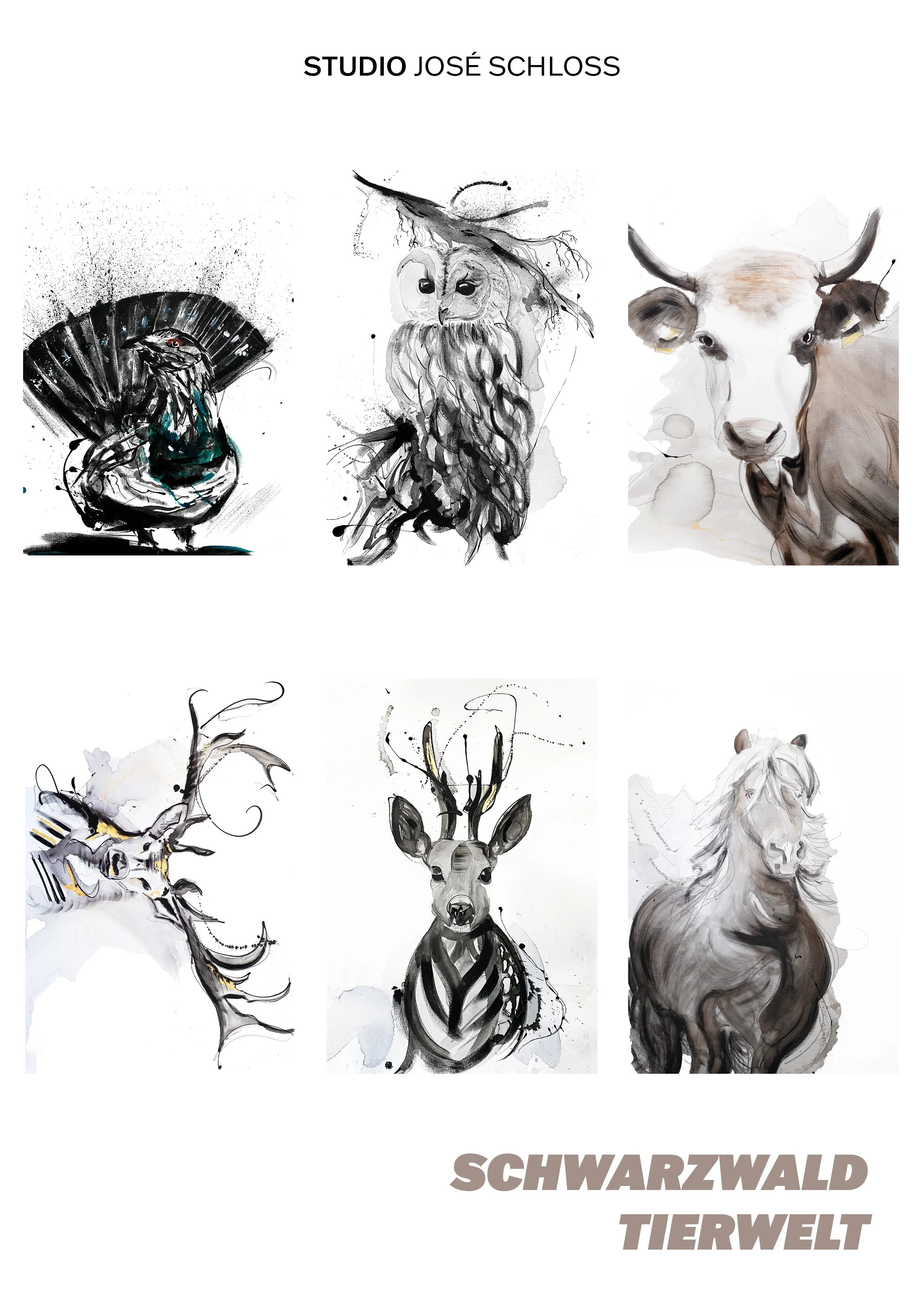 Schwarzwald Tierwelt Teil 1