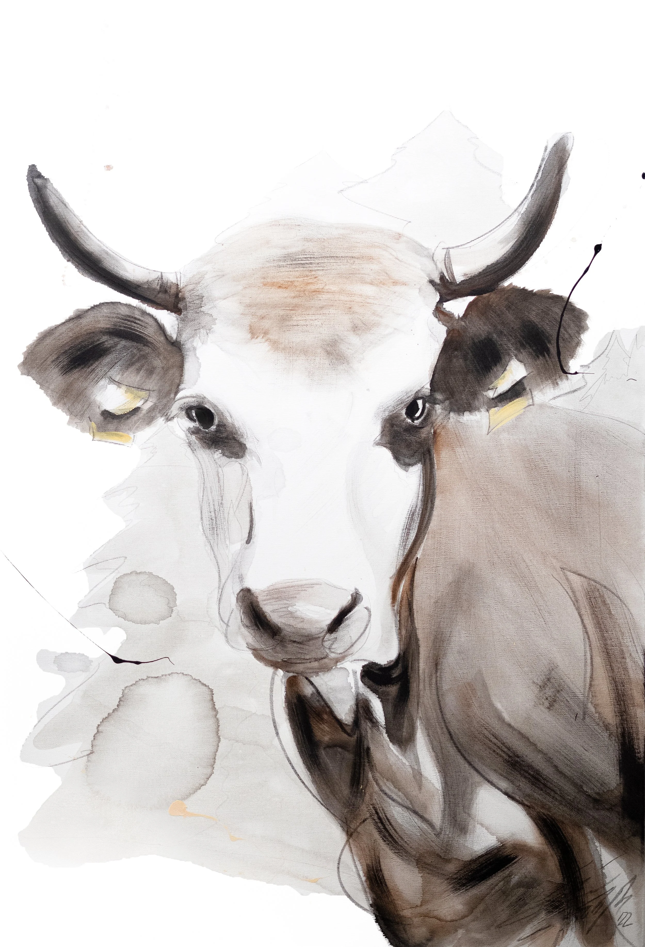 "Betzi"