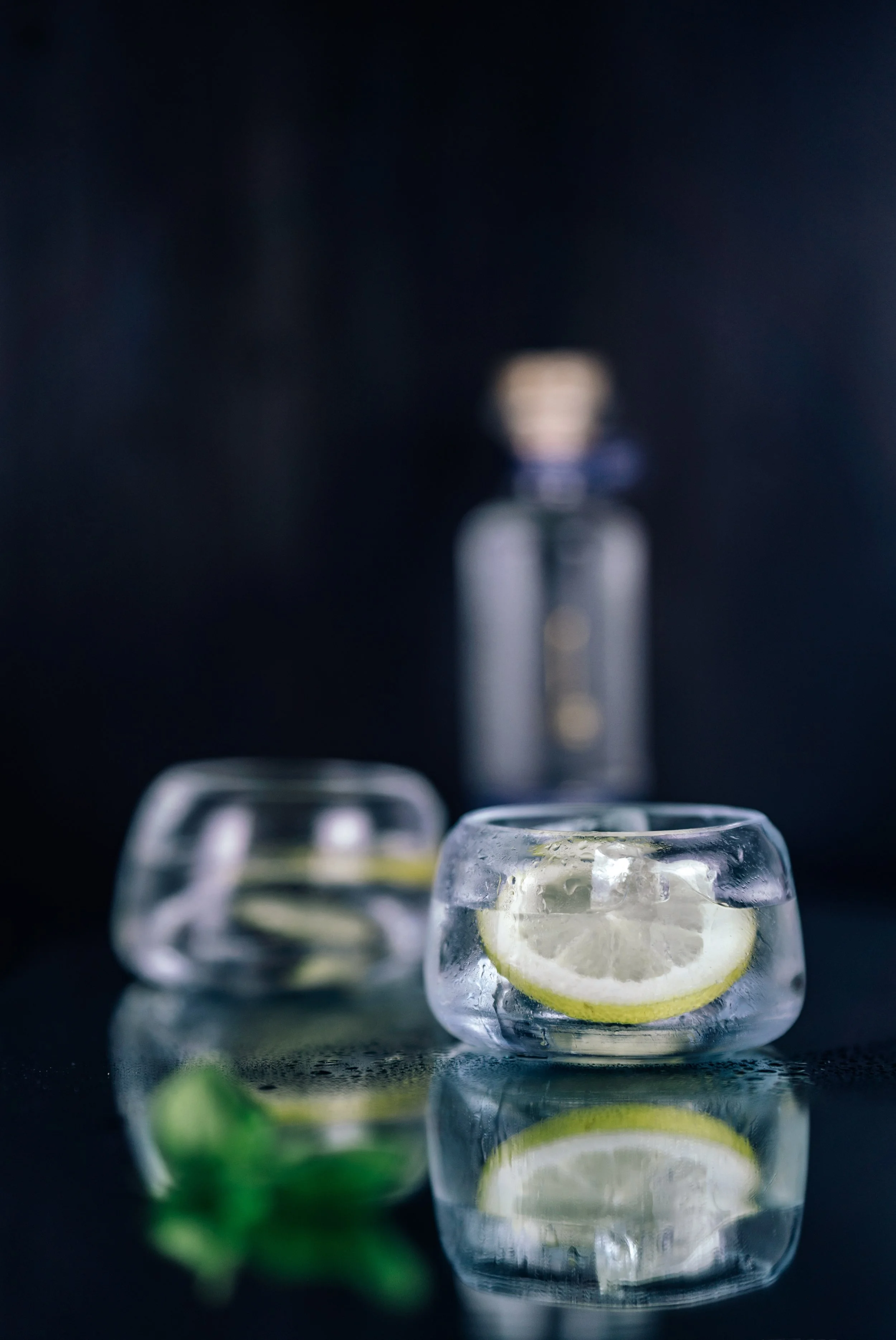 Gin mit Flaschen Kopie.jpg