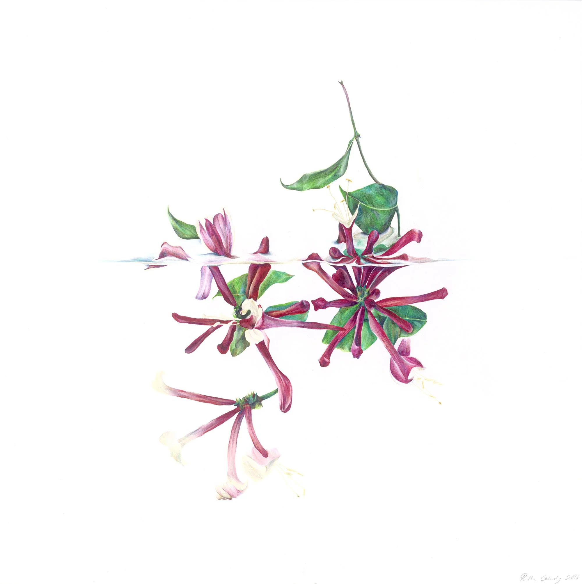 A View Below, Watercolour pencil, 2016