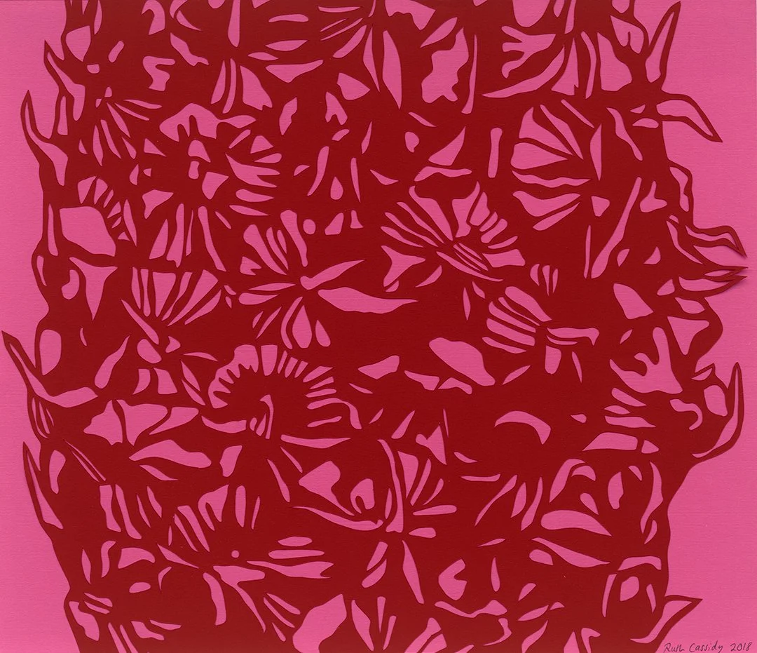 Raspberry, 40 x 45 cm, Cut Paper Collage, 2018