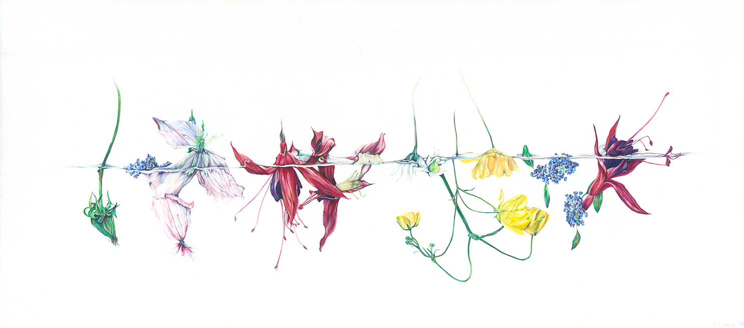 The pond, 2016, Watercolour pencil