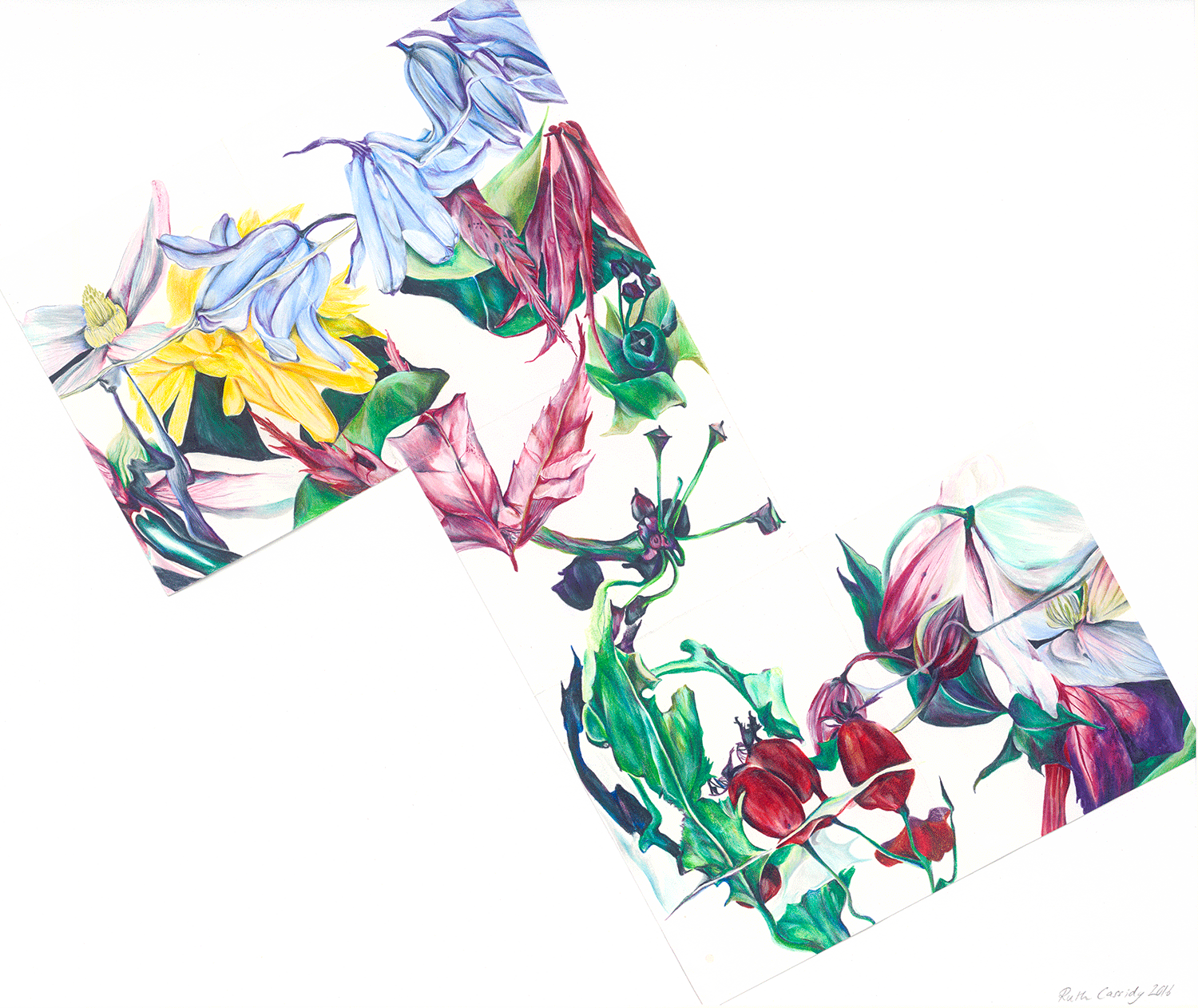 Jigsaw, 2016, Watercolour pencil