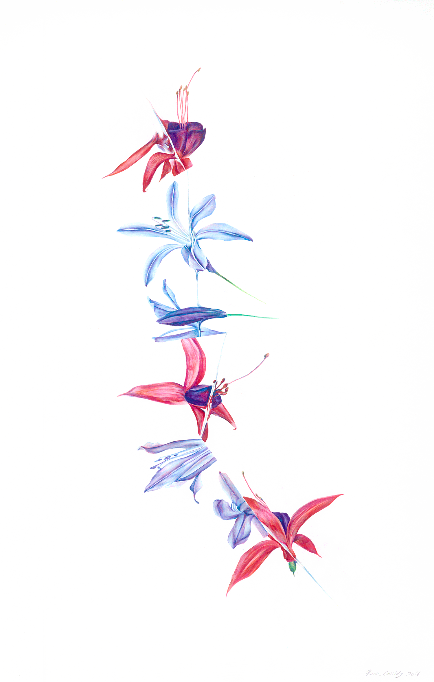 Necklace, 2016, Watercolour pencil