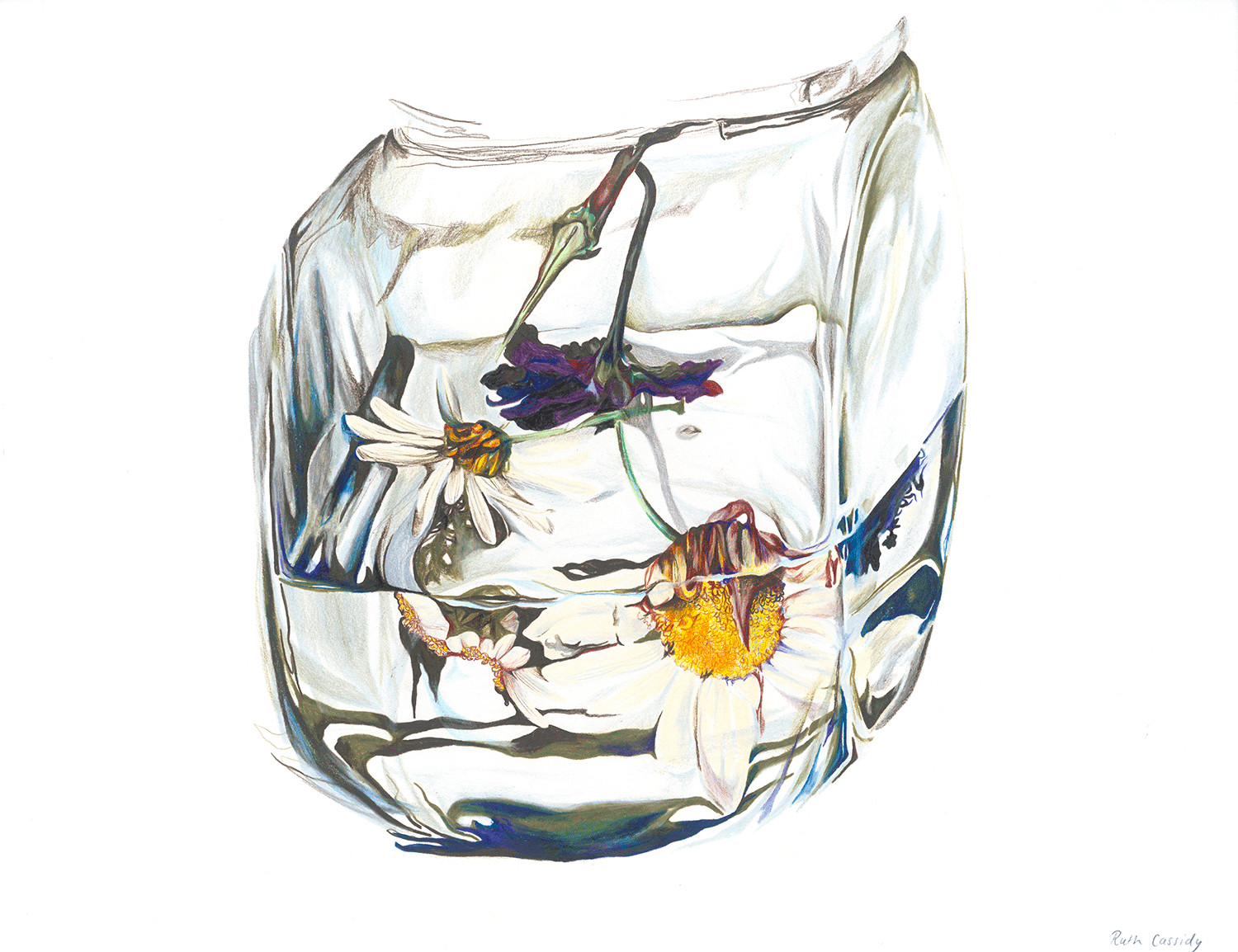 The Collector, 2016, Watercolour pencil