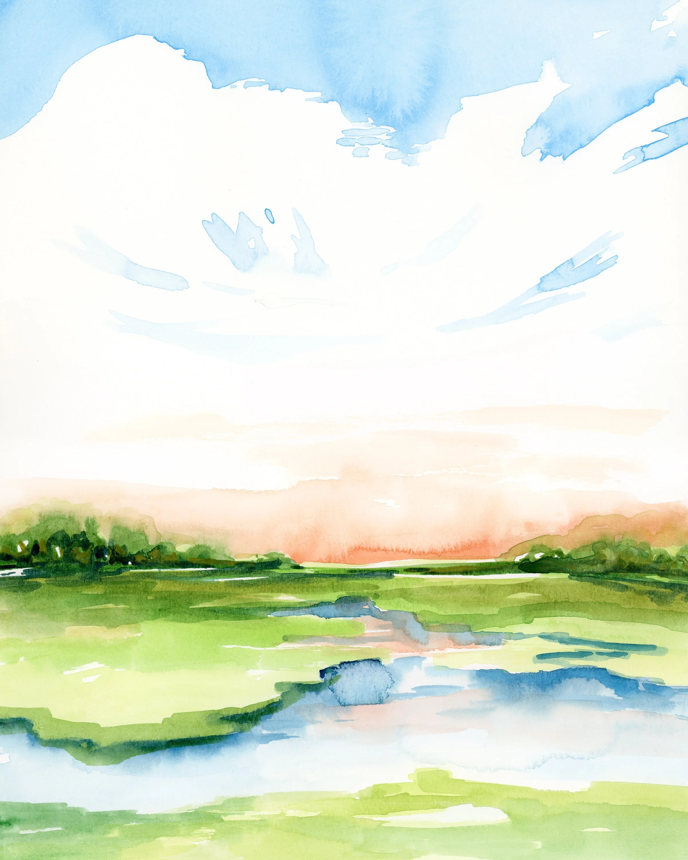 Mid Summer Marsh 8 x 10.jpg