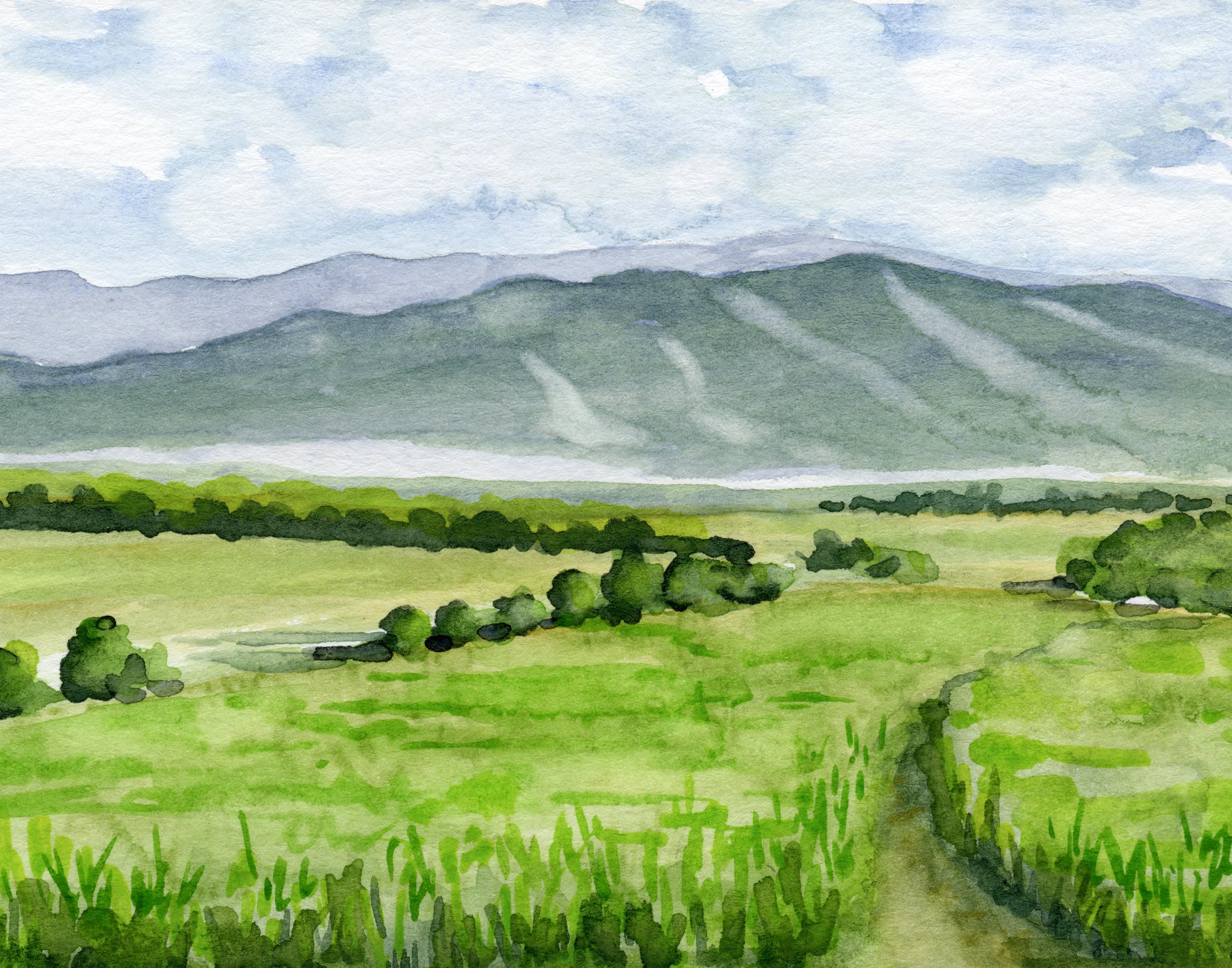 The Valley 11 x 14.jpg