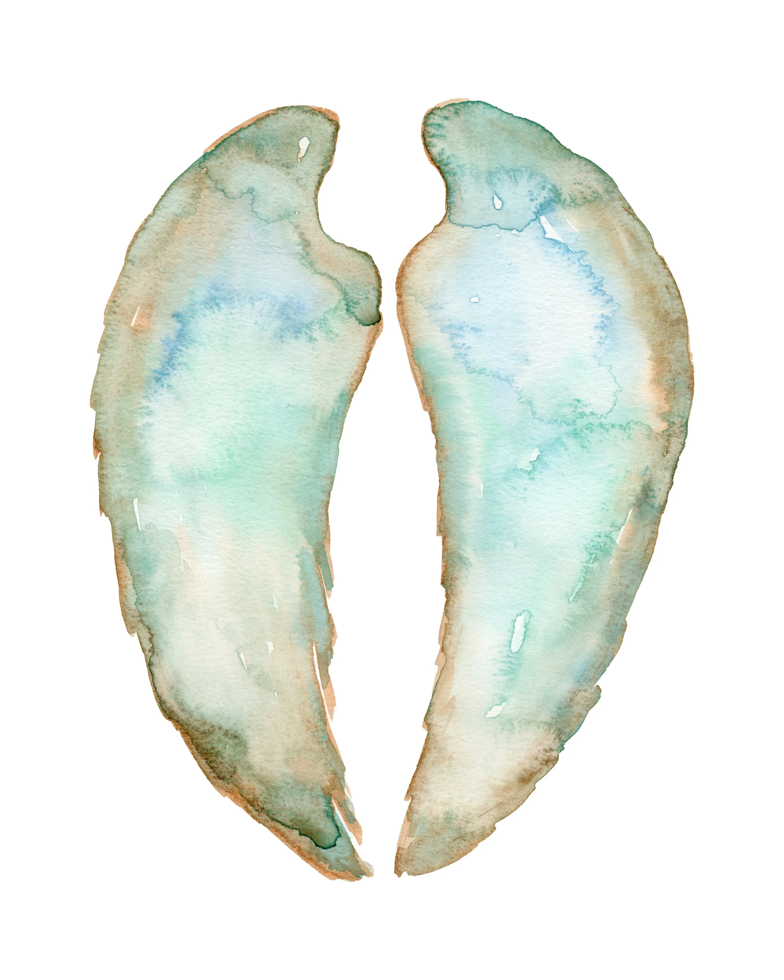 angel wings 2 or 4.jpg