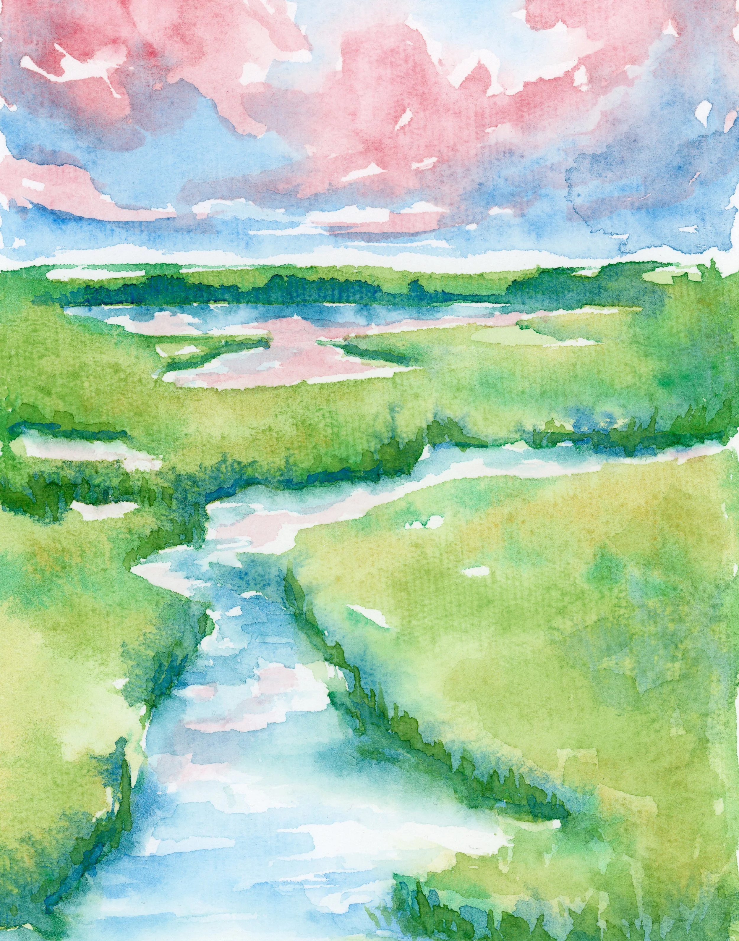 pink marsh - the quiet marsh.jpg
