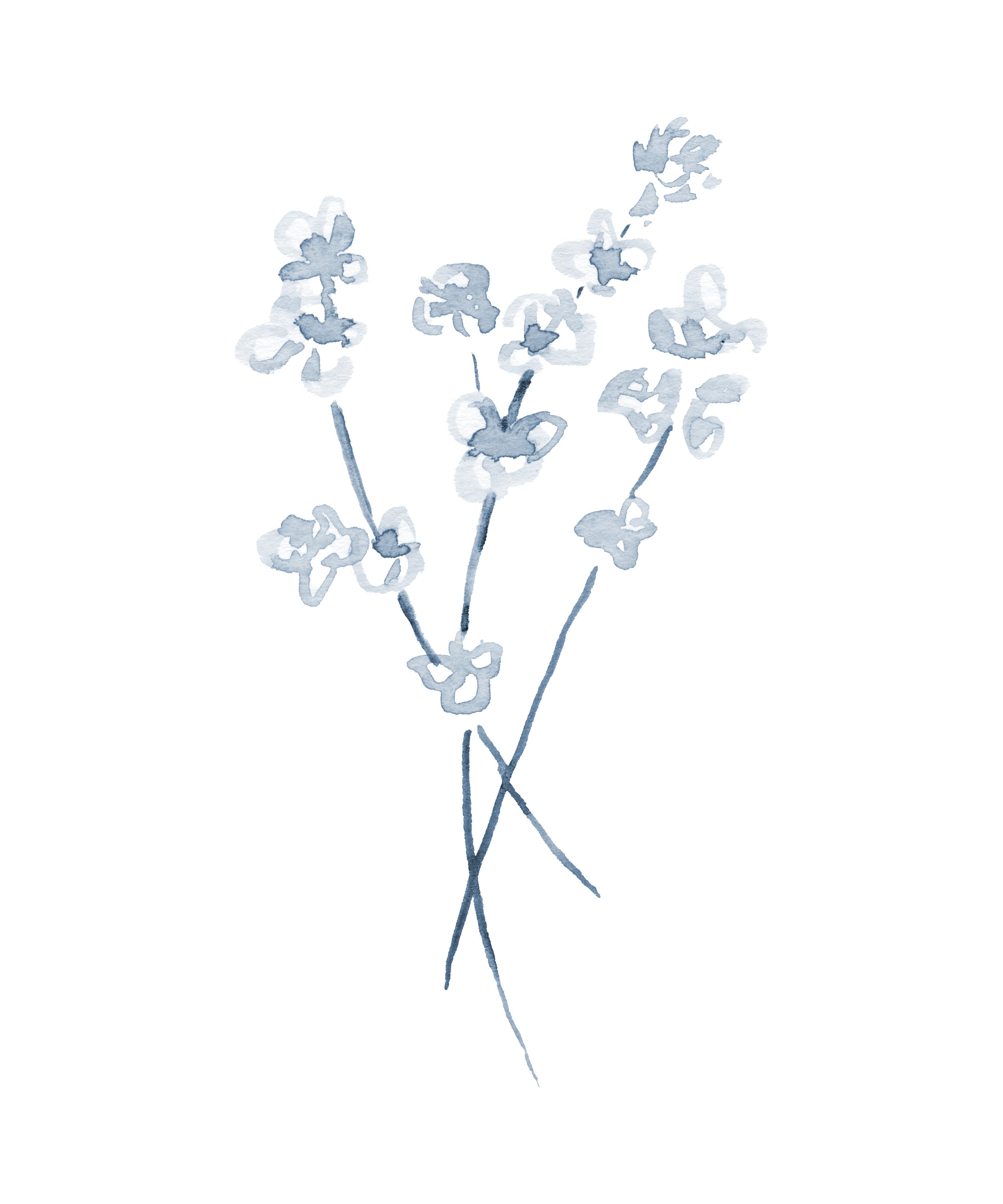 Monochromatic flower stems.jpg
