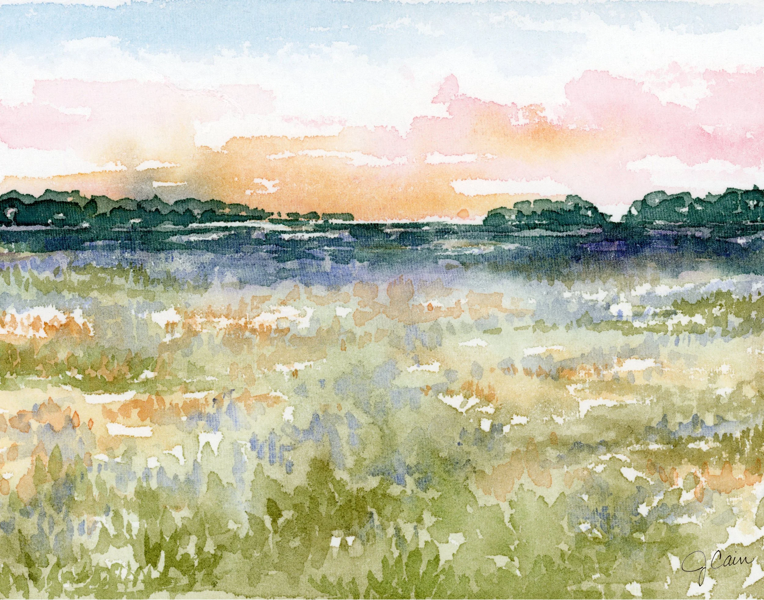 landscape free download Feb 2026.jpg