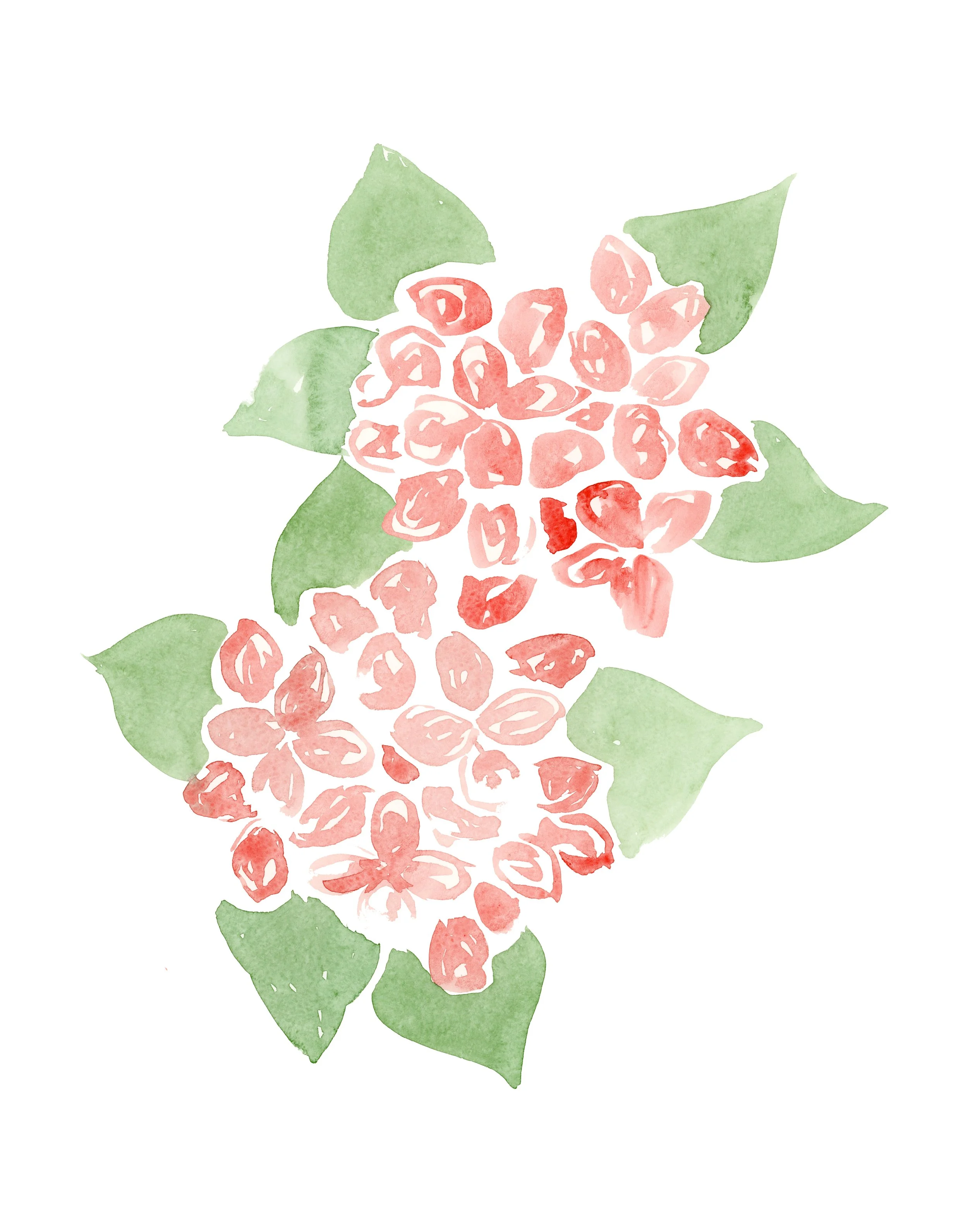 Pink Hydrangeas two.jpg