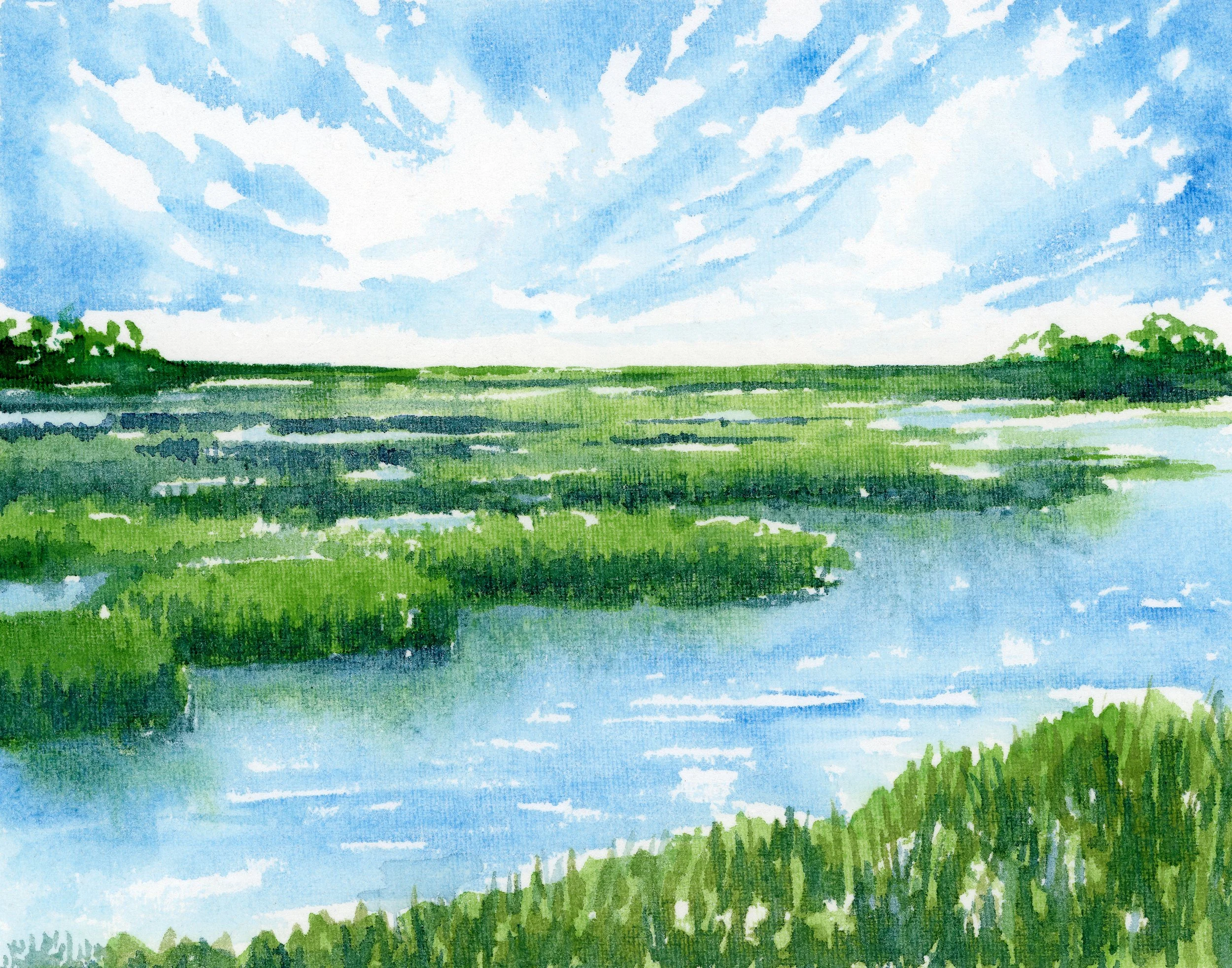 Marsh Texture - Stillness in the Reeds.jpg