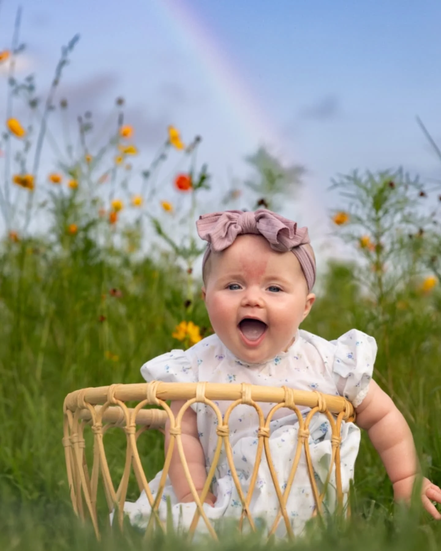 6 months of sweet Rowyn β€οΈ
Her session in the wildflowers was a joy, and the surprise rainbow certainly didn't hurt either. π