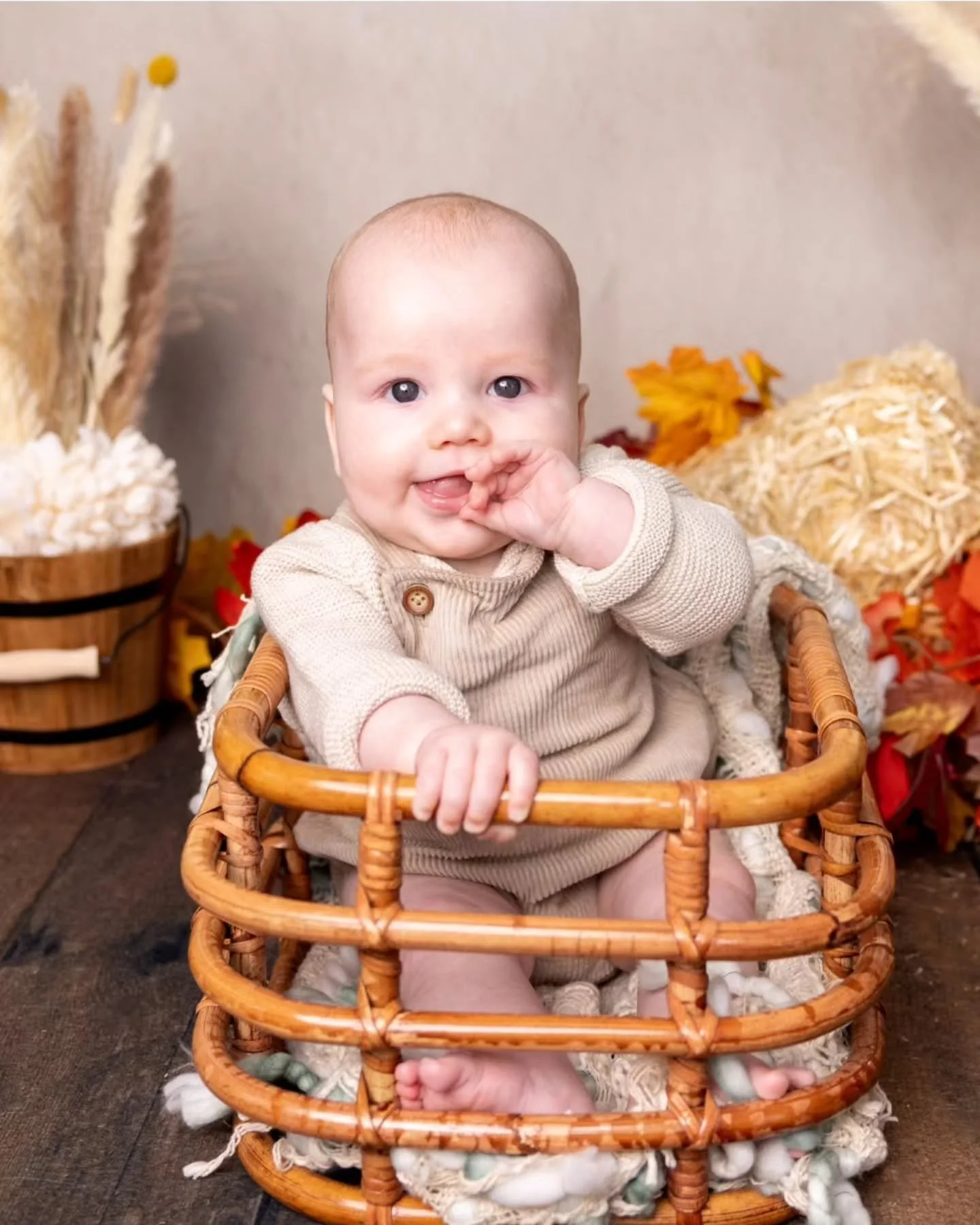 Half a year of Elrich! 

This sweet turkey is such a happy baby with an infectious smile. Can't wait to see what the other half of the year brings 😊