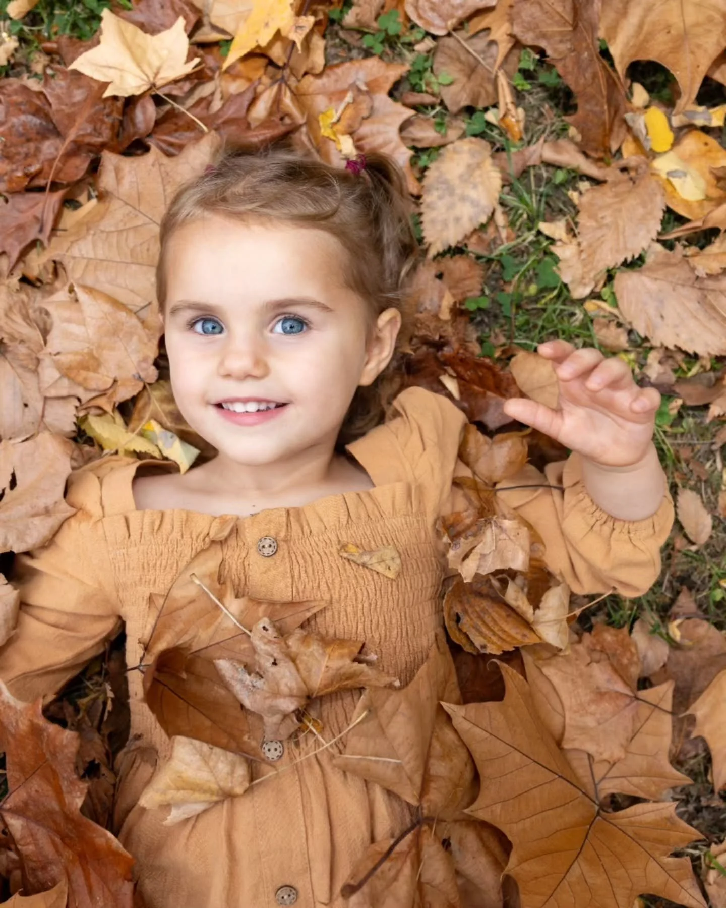 The air is getting cooler. The leaves will change colors soon. 🍂

There's still time to get a fall session on the books for any occasion. There's still some Fall mini sessions that you can snag too. Reach out today to see what options are available 