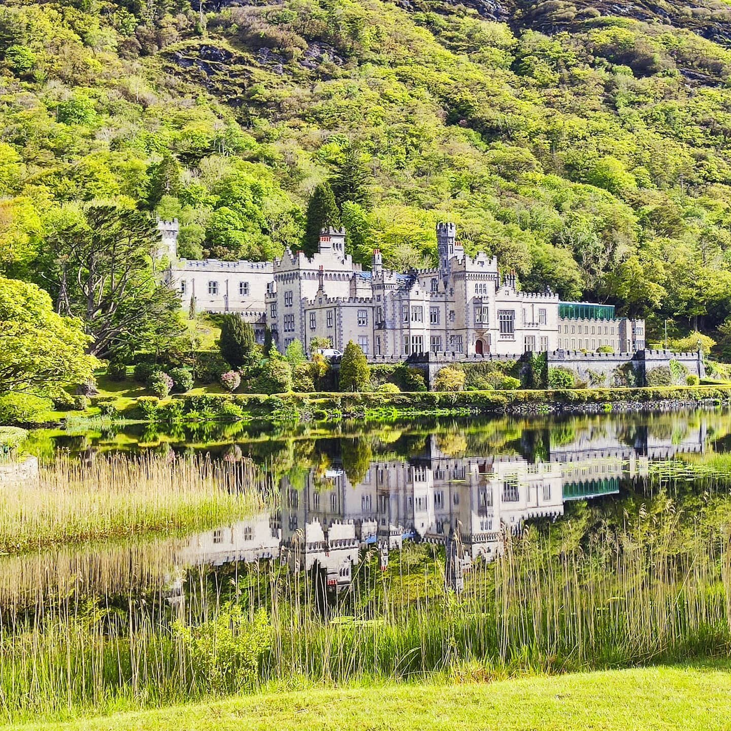 Nothing like visiting kylemore. #latinquartergalway #thisisgalway