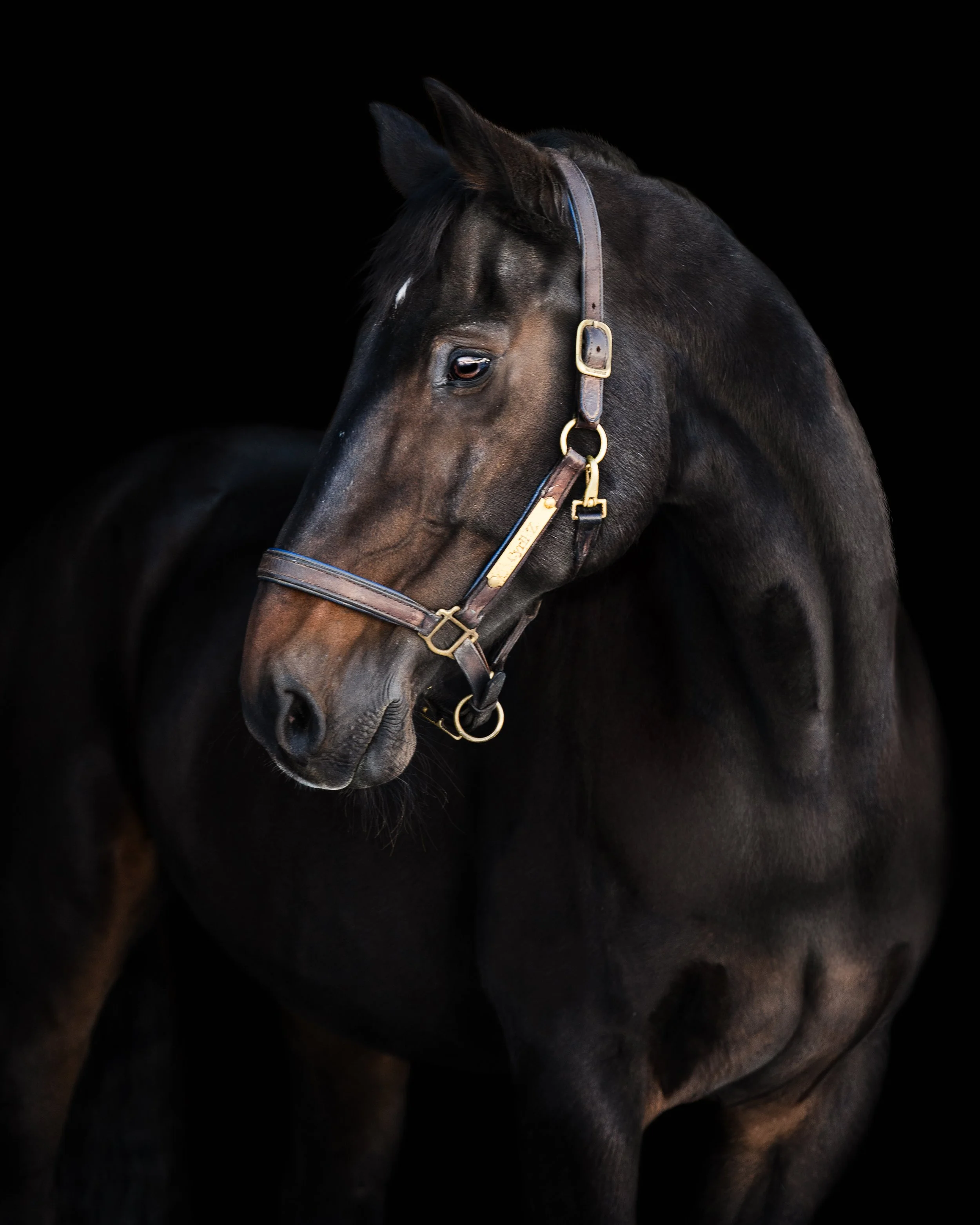 CRB_8832-Edit.jpg