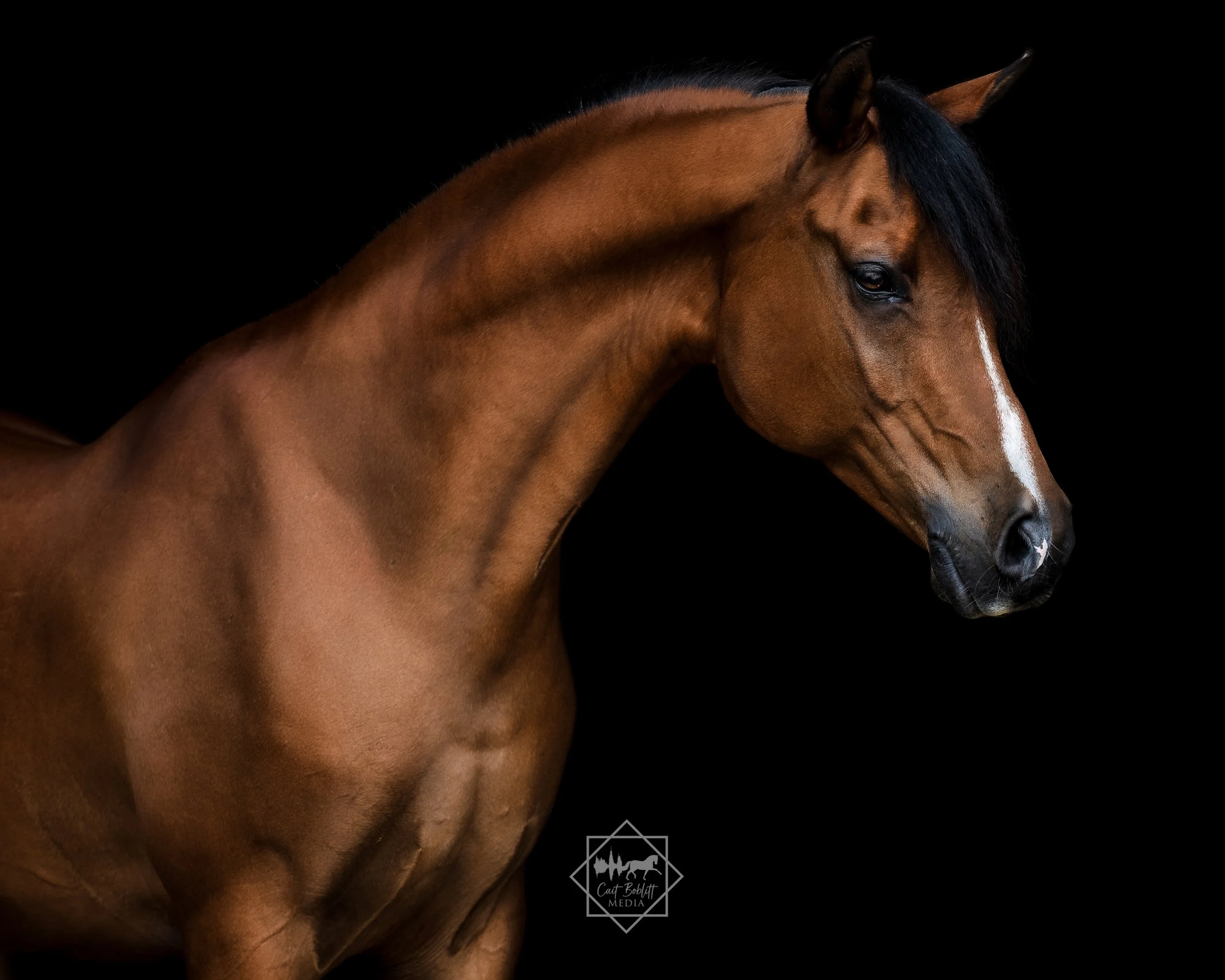 CRB_5497-Edit.jpg