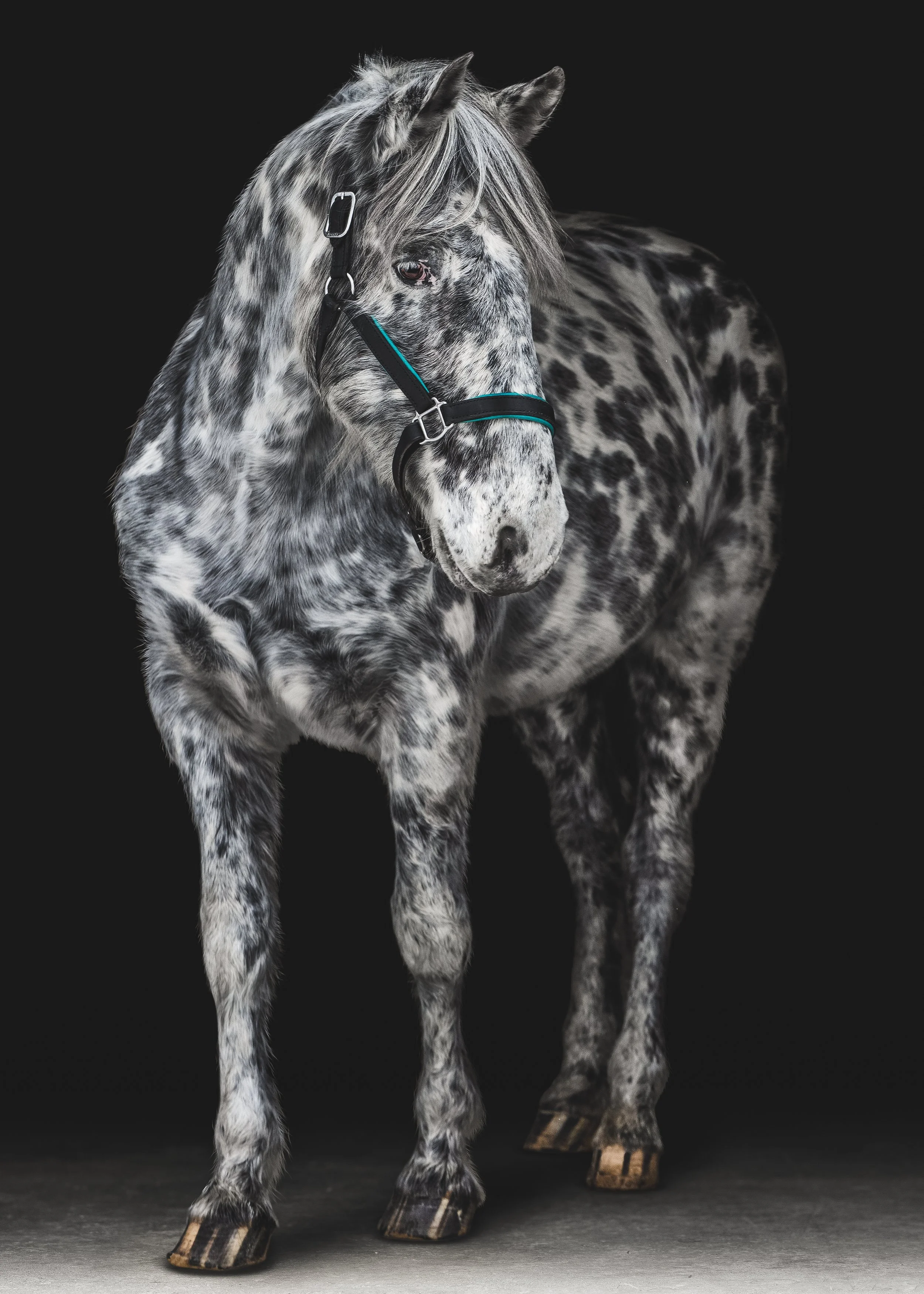 CRB_5870-Edit.jpg