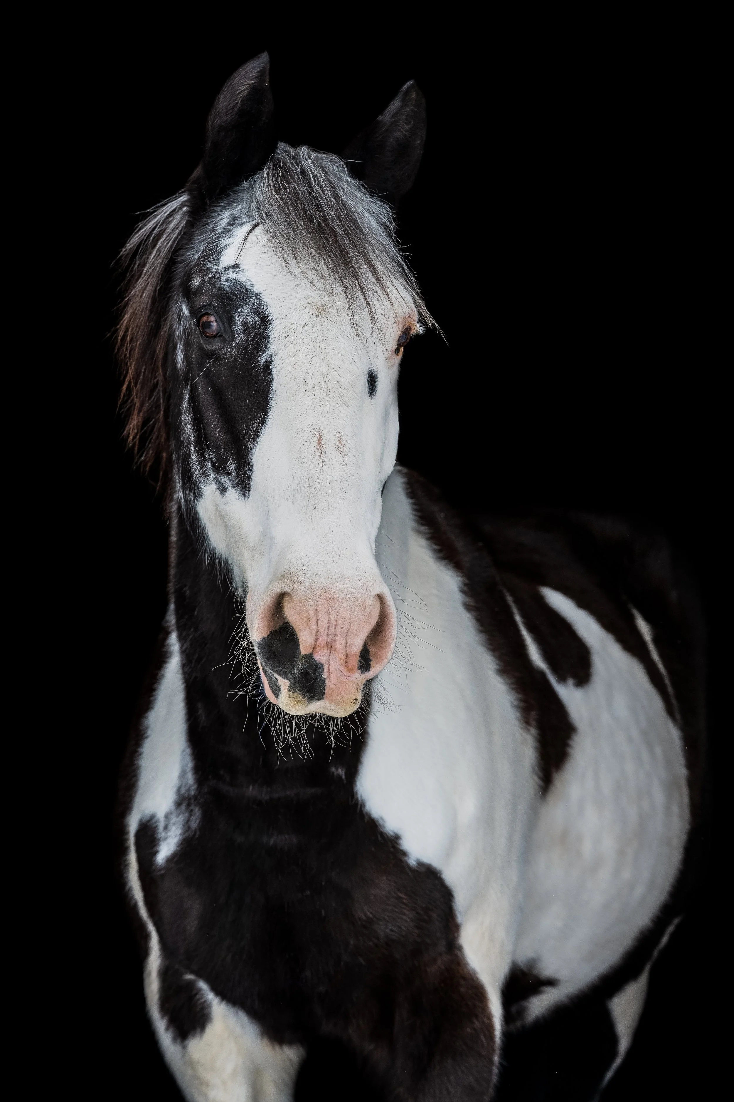 CRB_0016-Edit.jpg