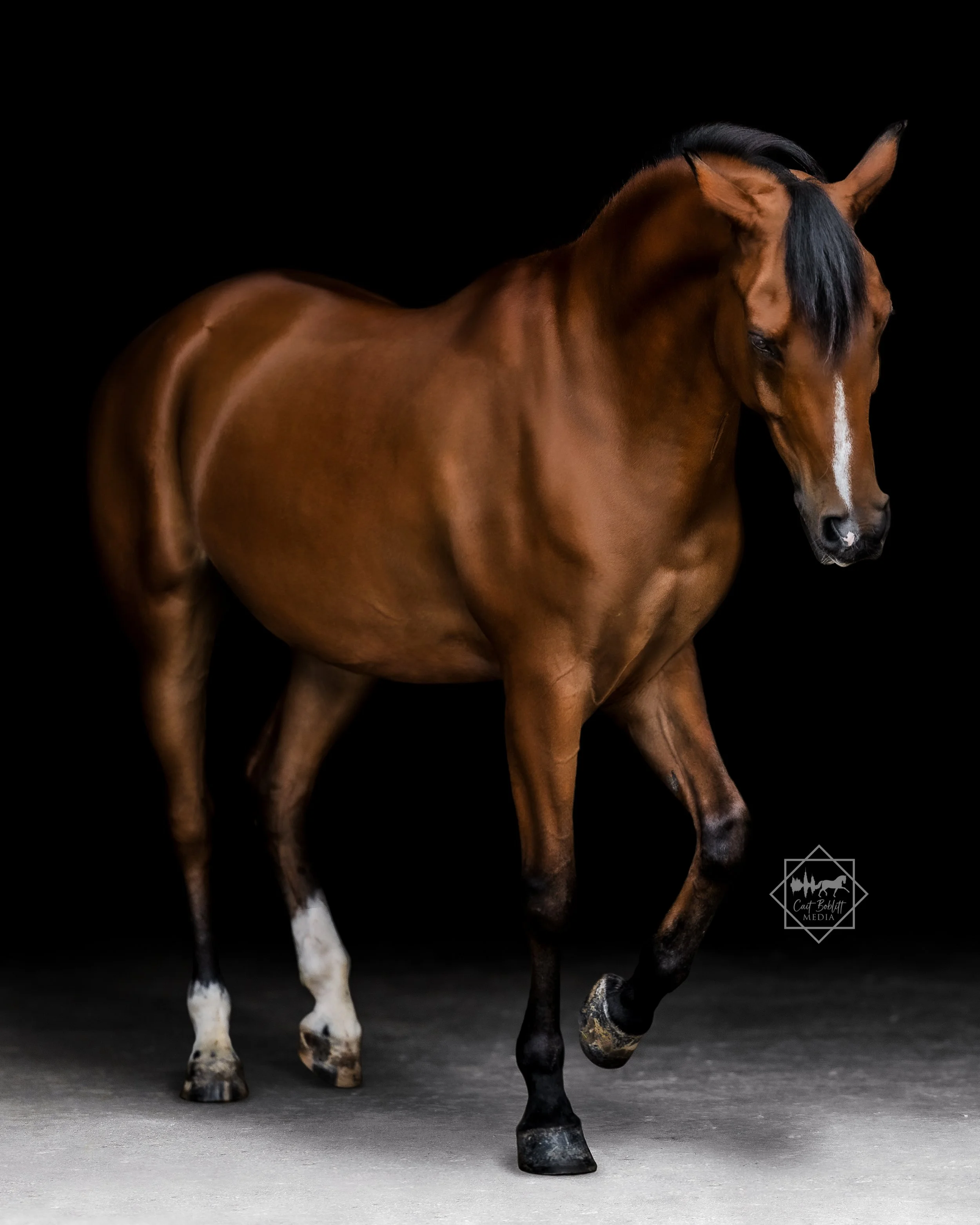 mack composite final-2.jpg