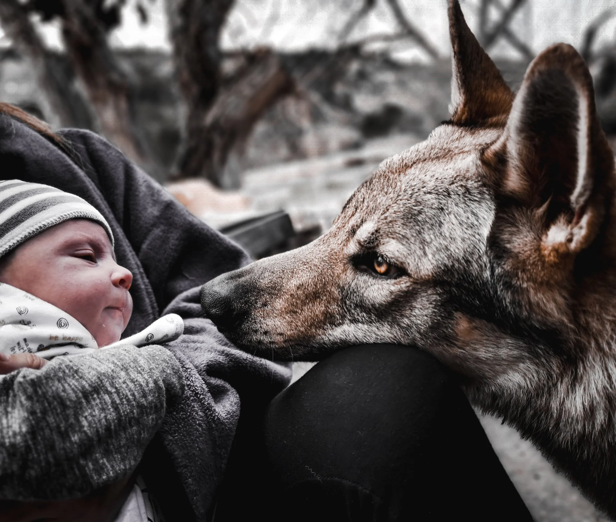 IMG_20191206_120716 - copia.jpg