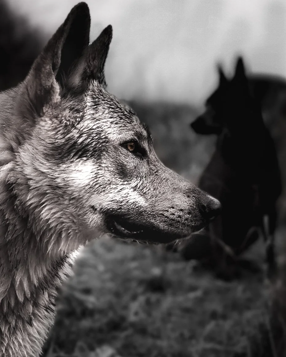 IMG_20191230_105443_1 - copia.jpg