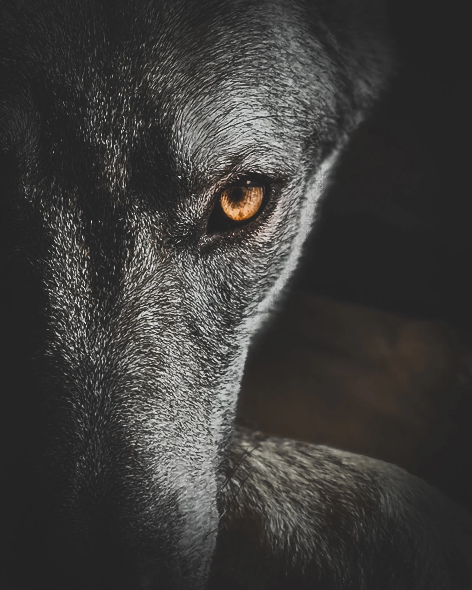 IMG_20191116_130941 - copia.jpg