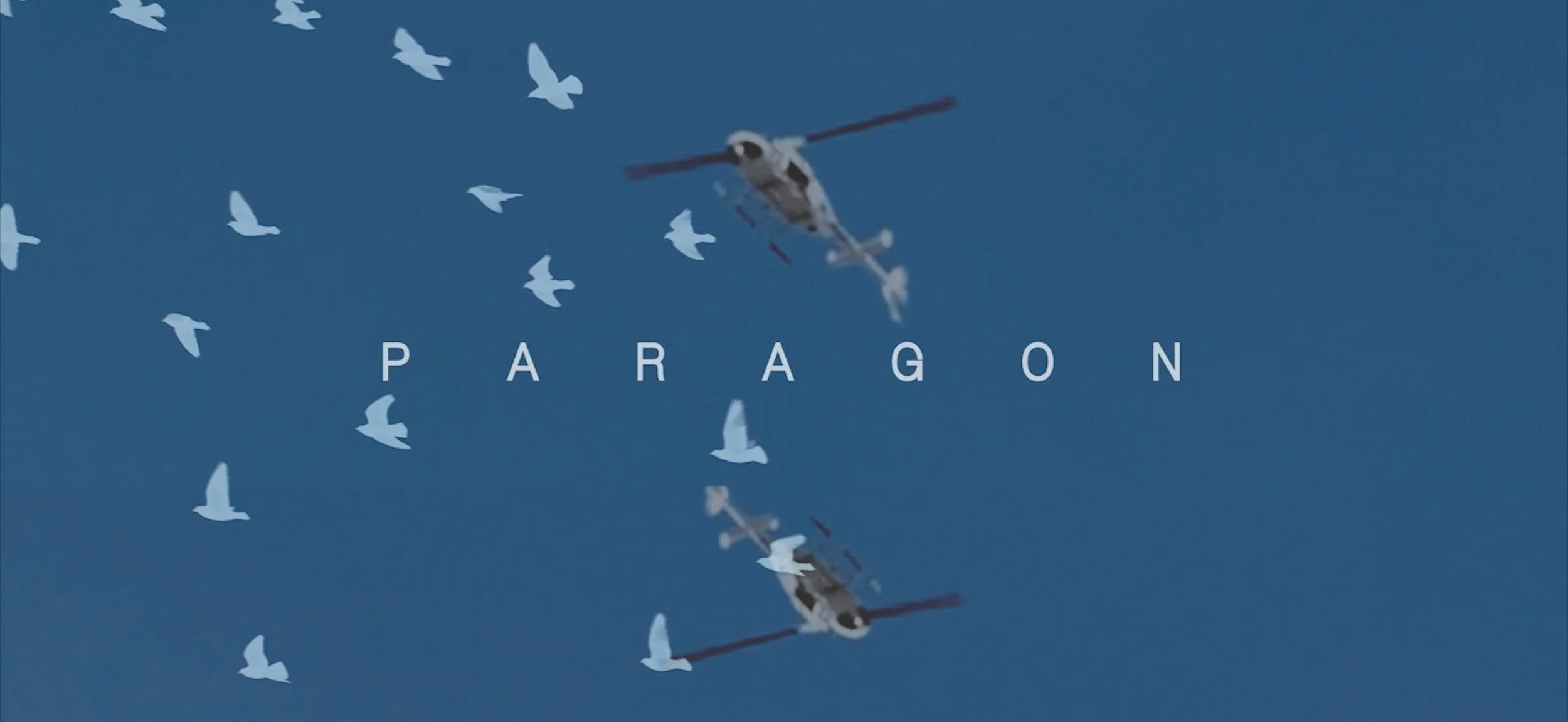 Paragon-hero.jpg