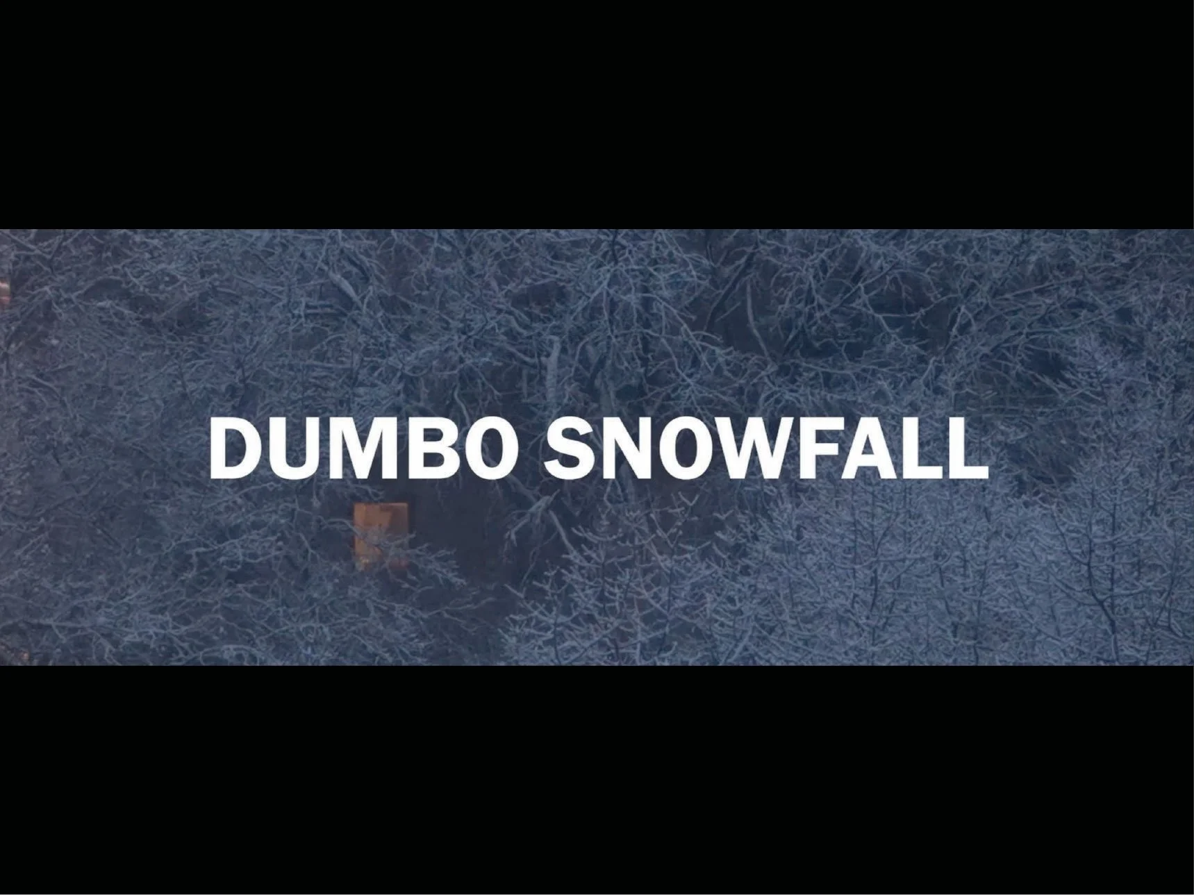 Dumbo Snowfall, 2025