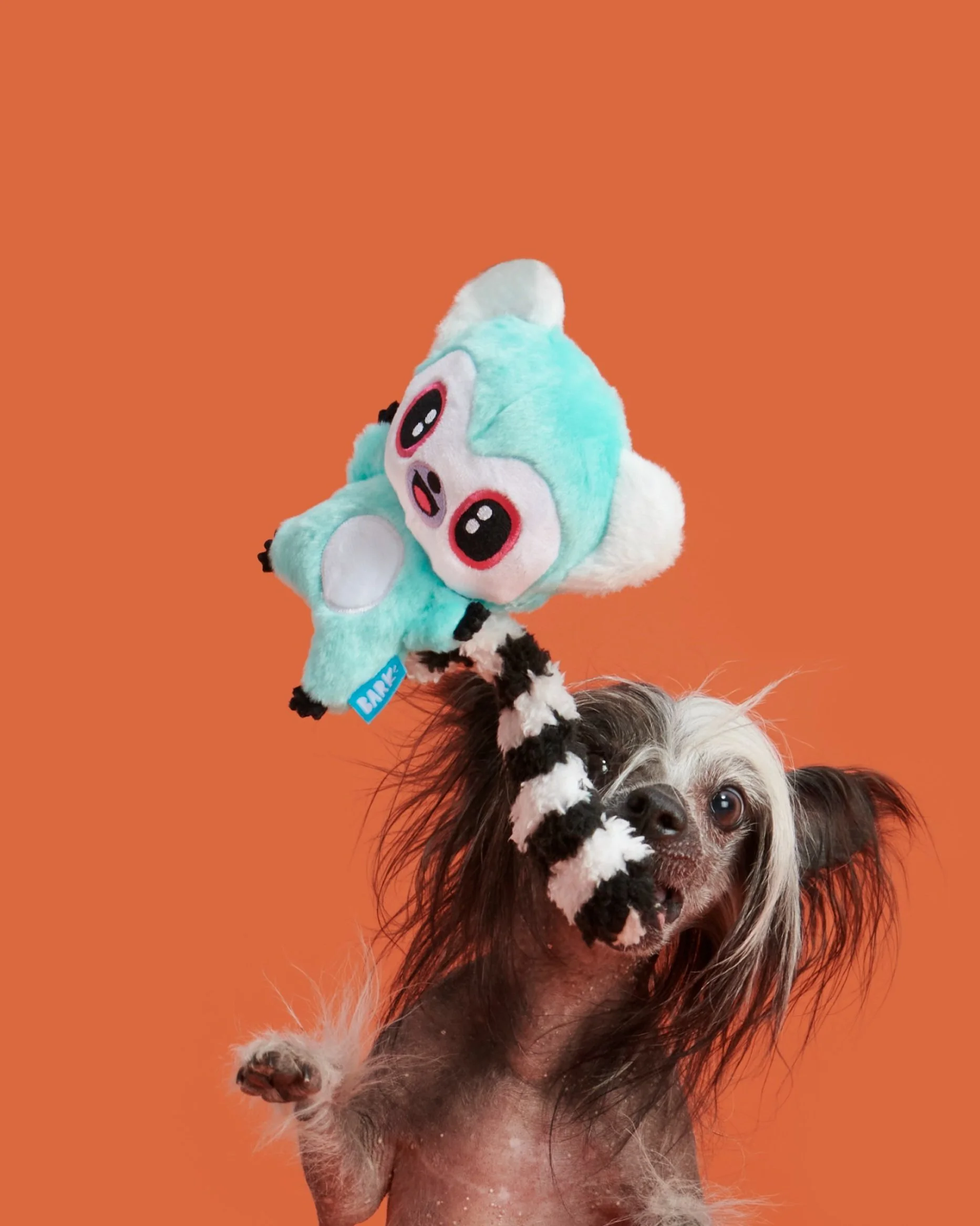 BOX_211810_LILI-LEMUR_0235.jpg
