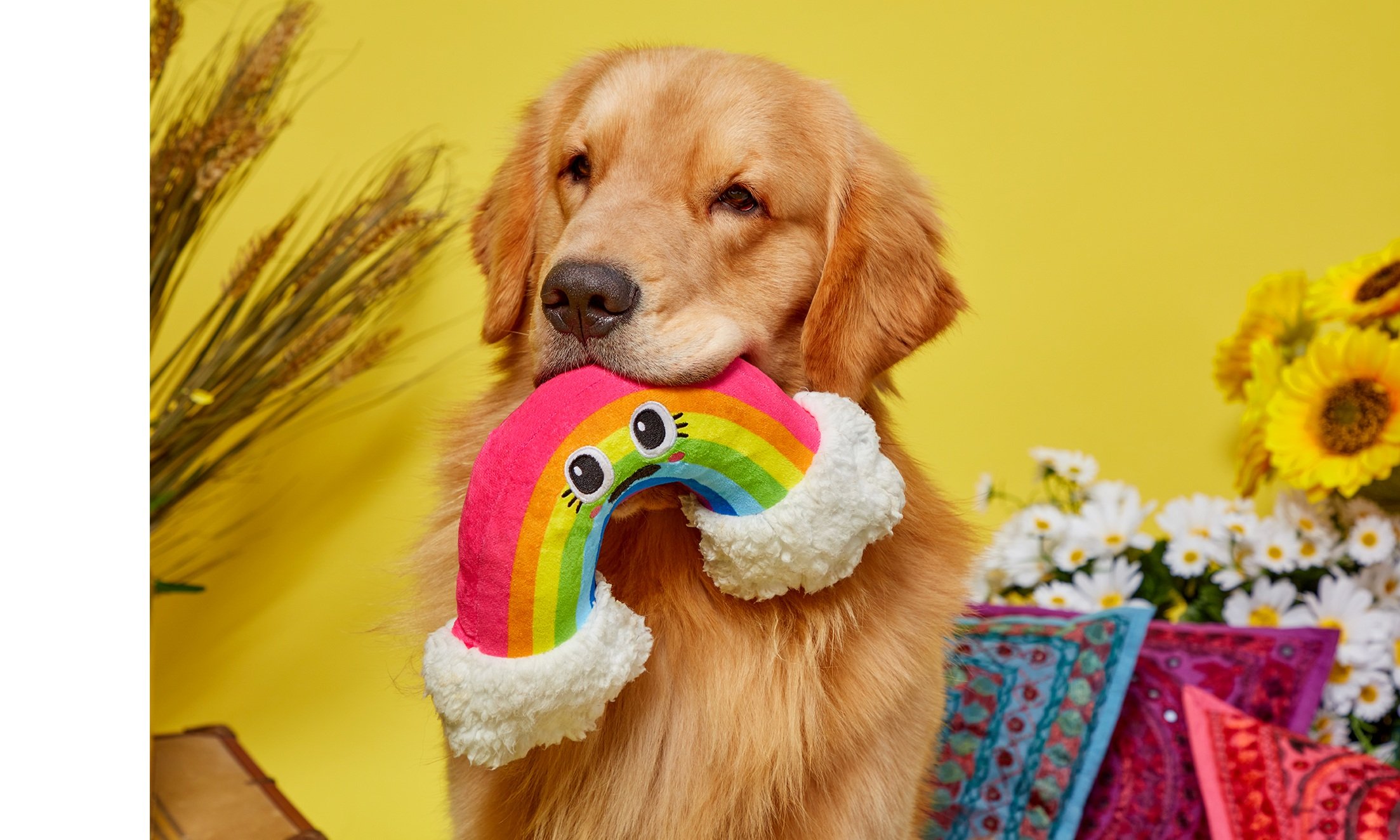 rainbow1.jpg