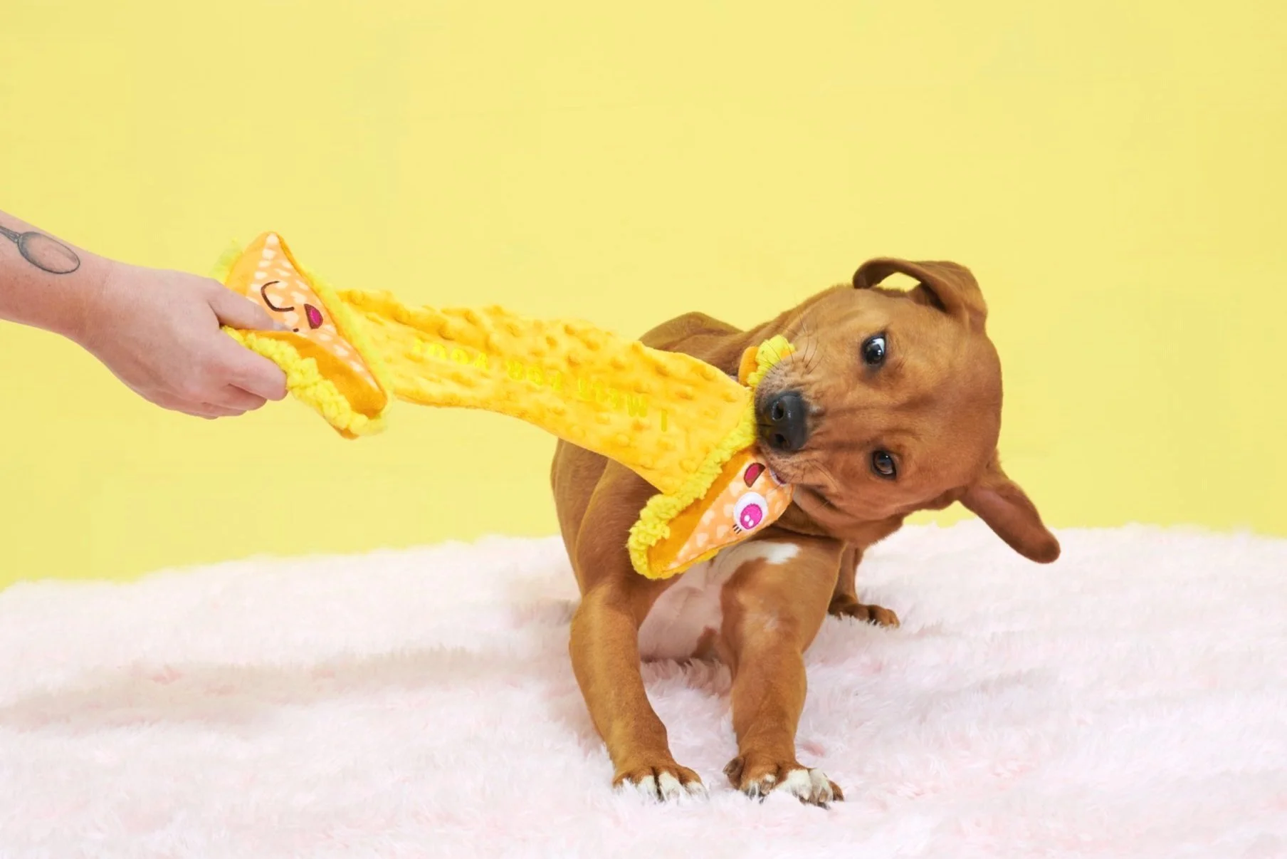 BOX_209392_MAIN-SQUEEZE-CHEESE_BEBE_0615.jpg